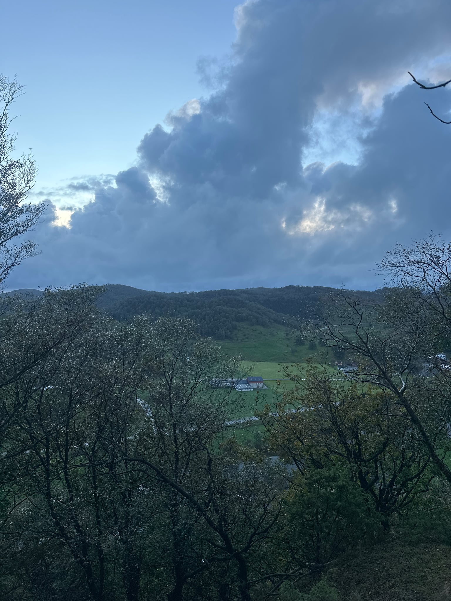 Skrukkelia — foto 1 av 1