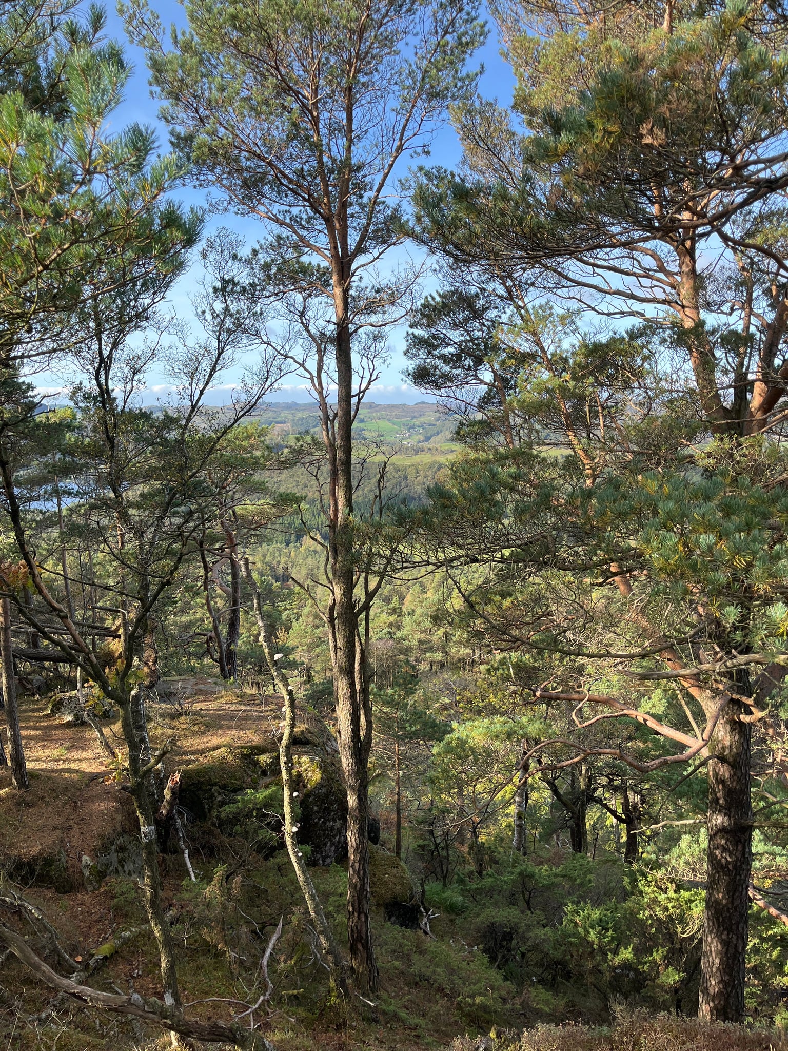 Åråsen — foto 1 av 3