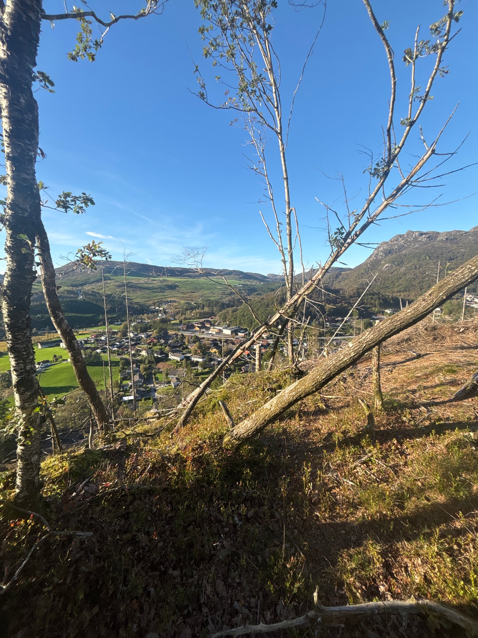 Foreknuten — foto 1 av 3