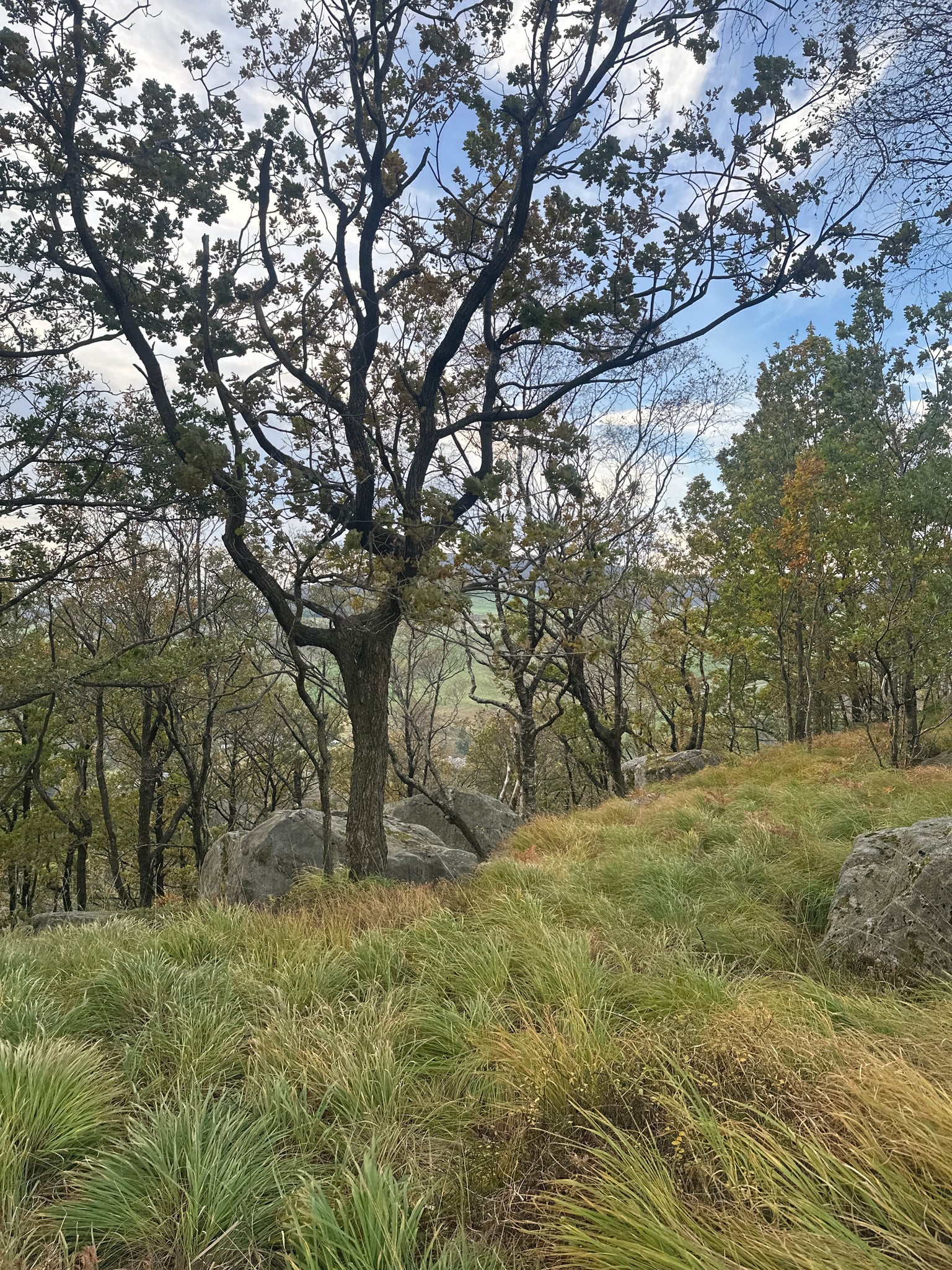 Tjødnaråsen — foto 1 av 4