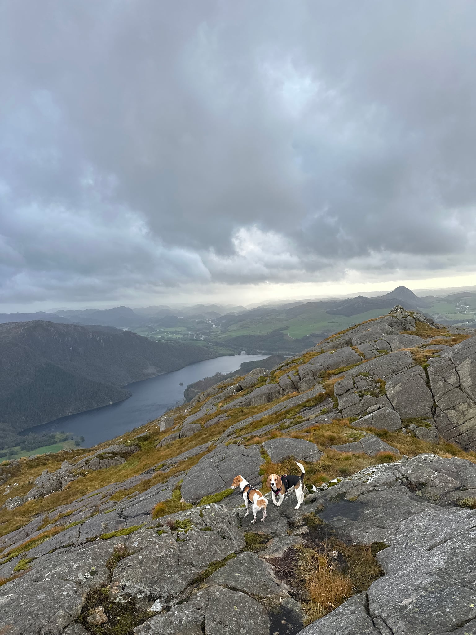 Storafjellet — foto 1 av 1