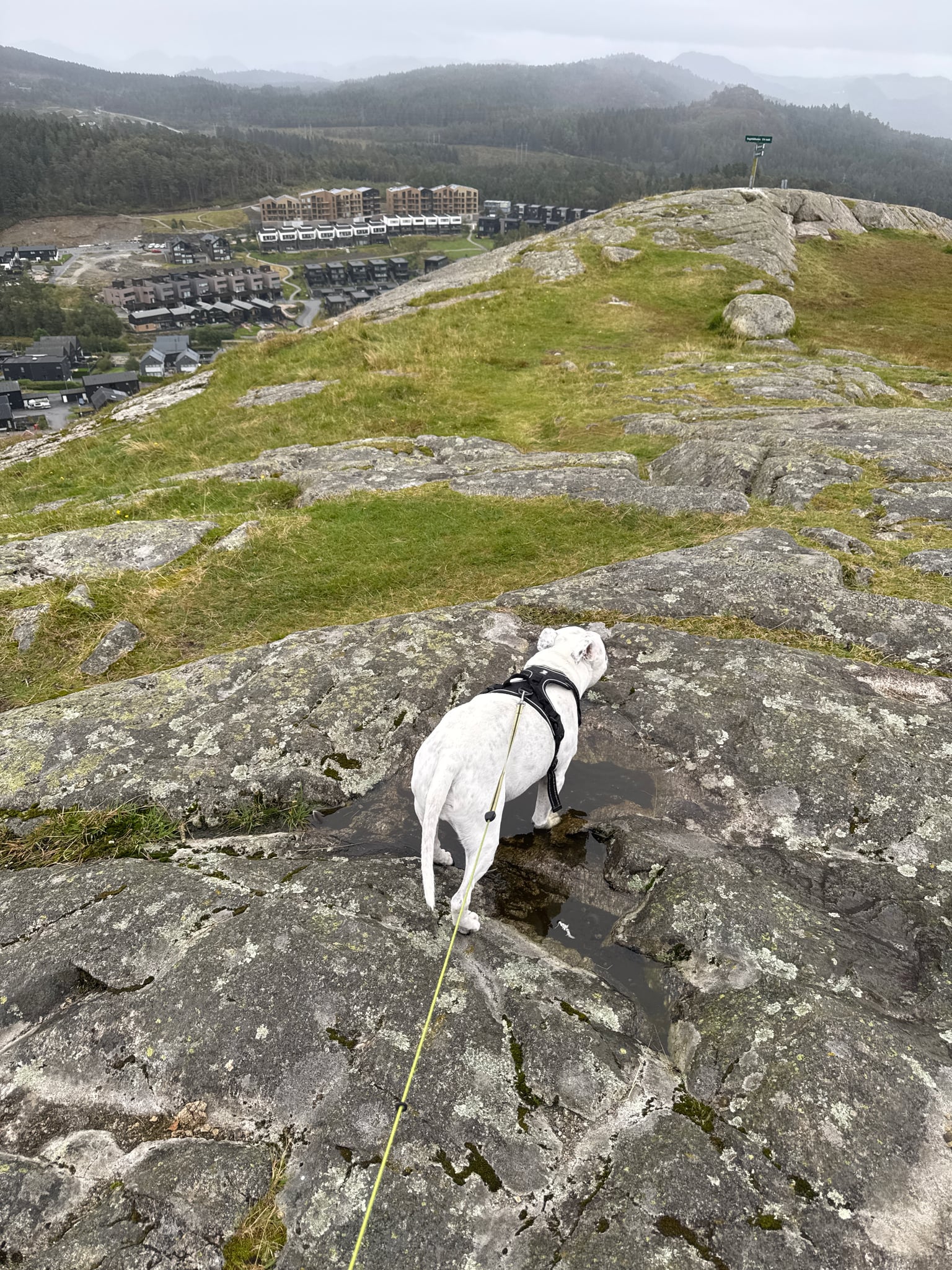Ragnhildnuten — foto 1 av 2