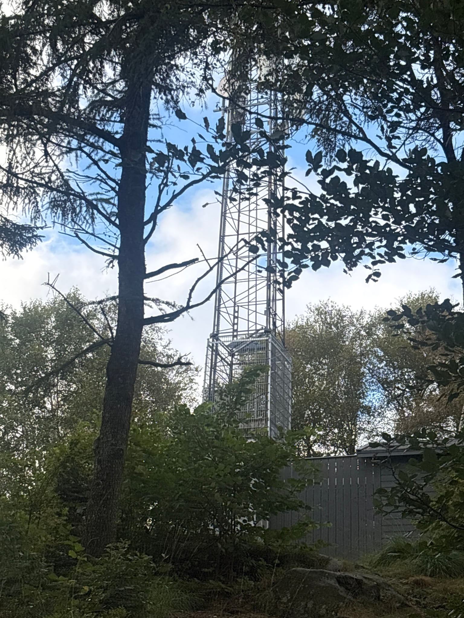 Riaren — foto 1 av 2