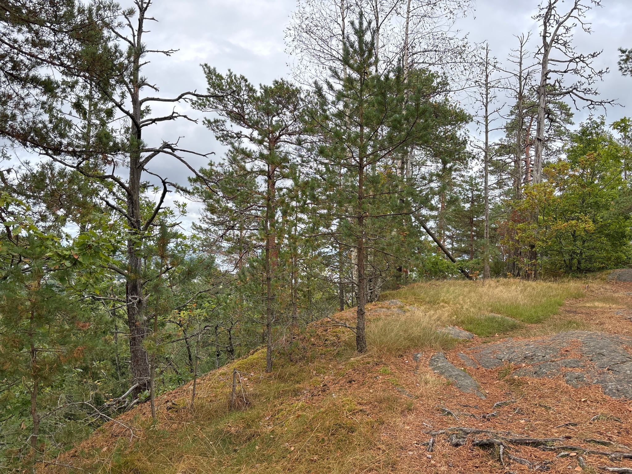 Storkollen — foto 2 av 4