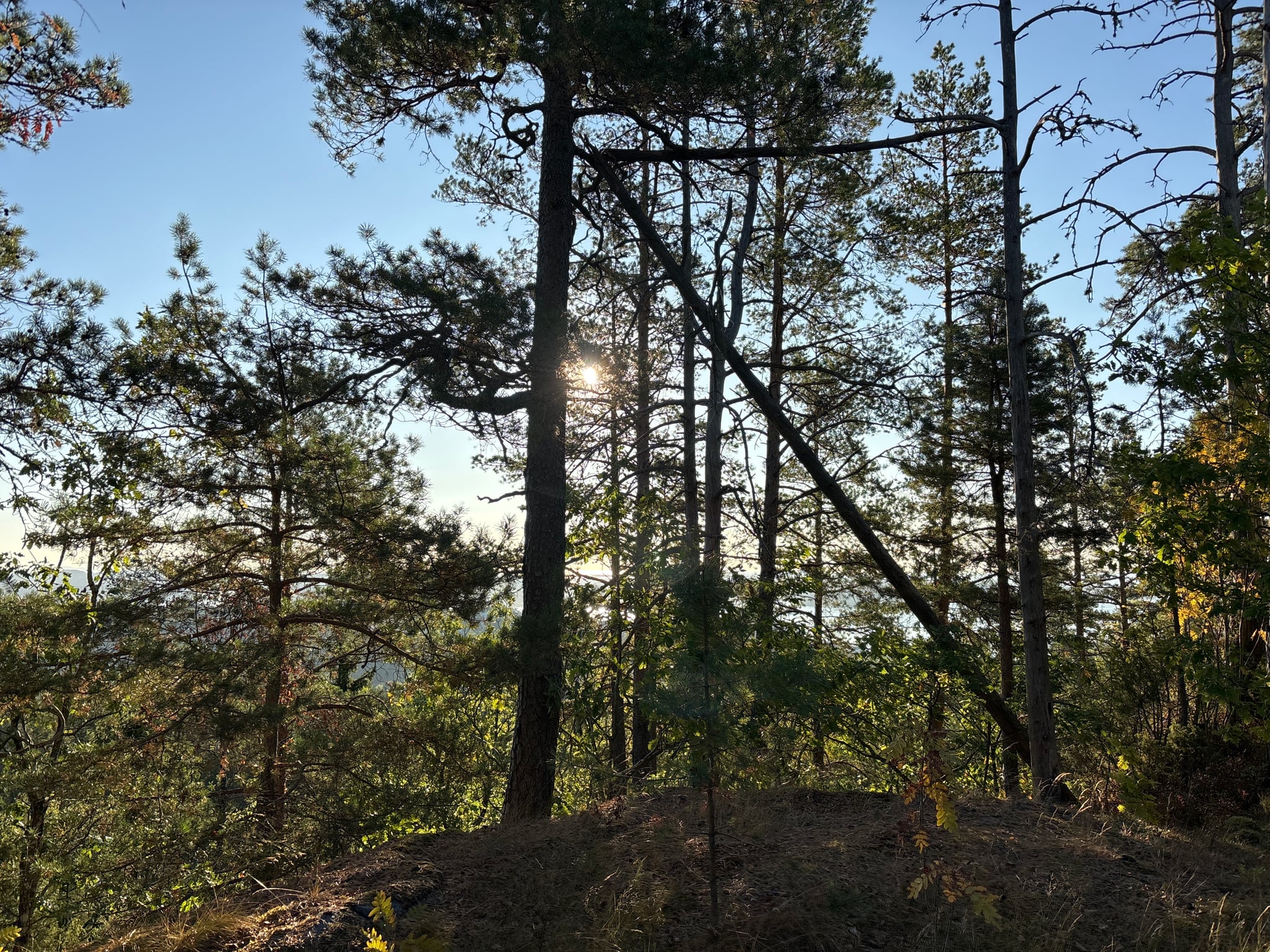Storkollen — foto 4 av 4