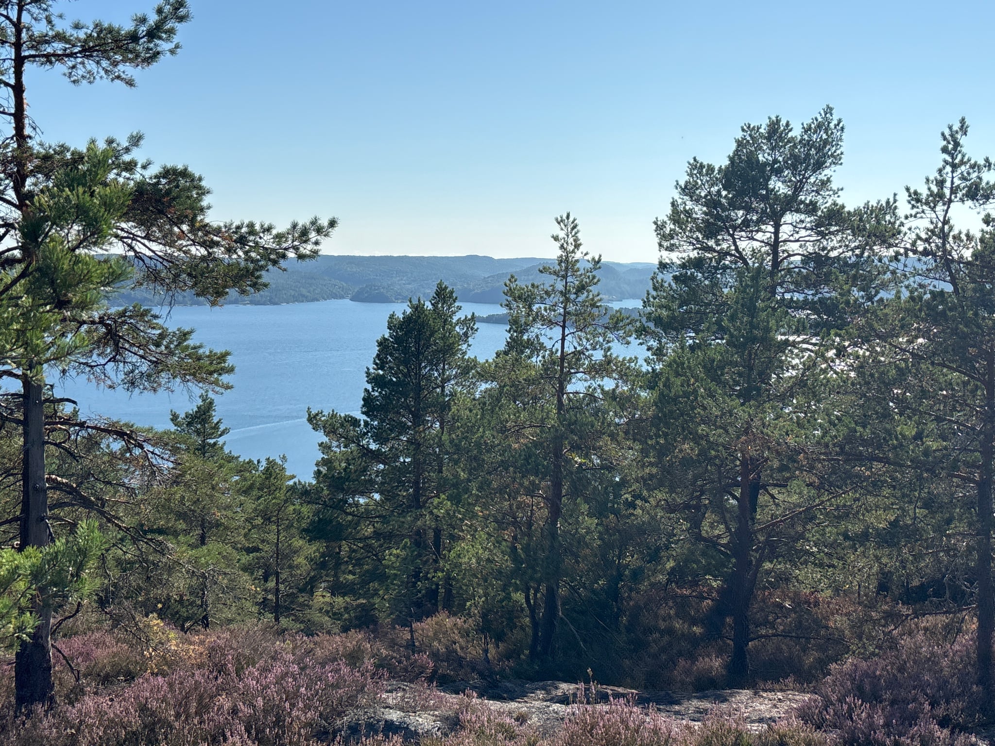 Sjåen — foto 1 av 1