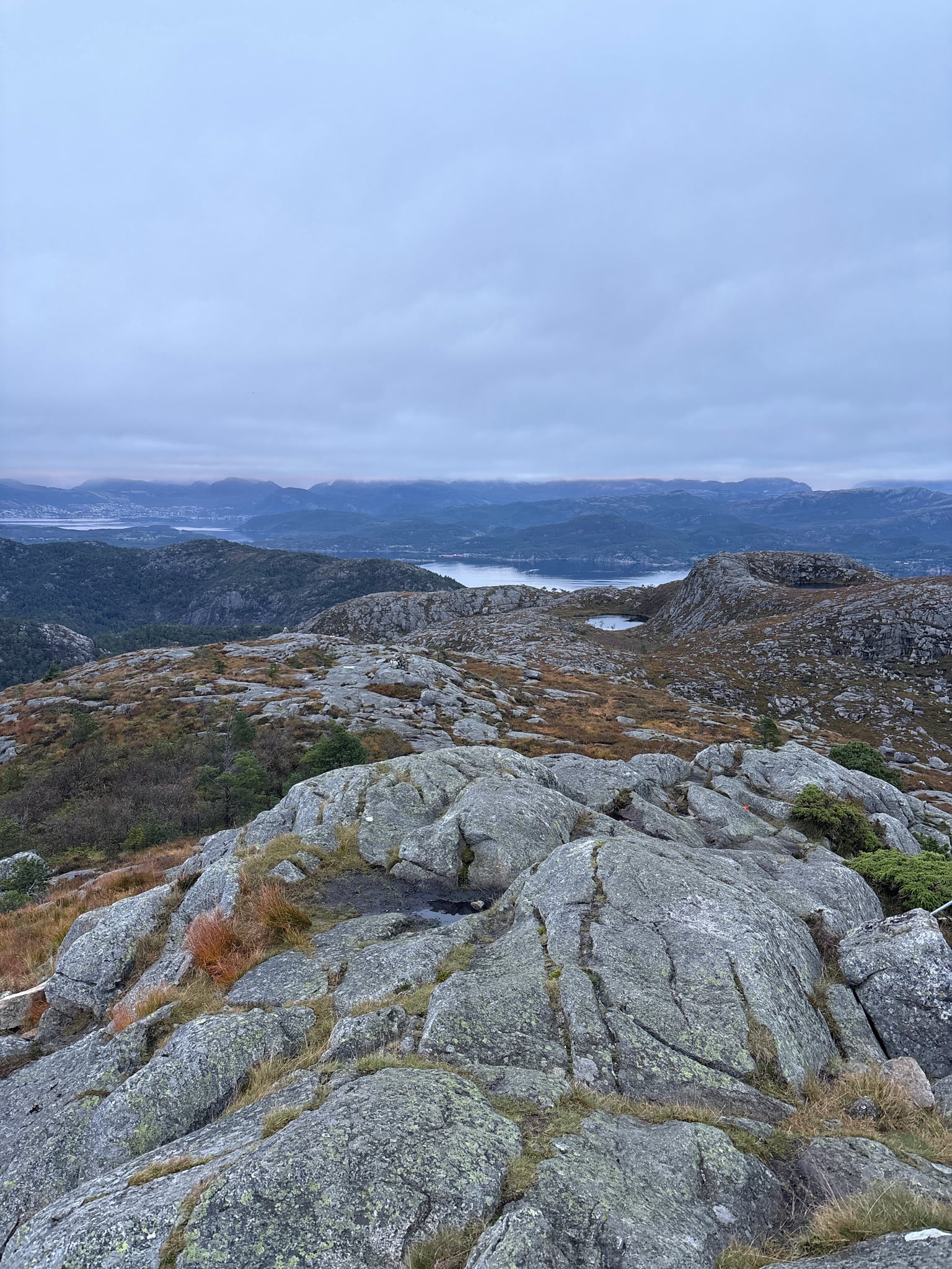 Vårlivarden — foto 2 av 2