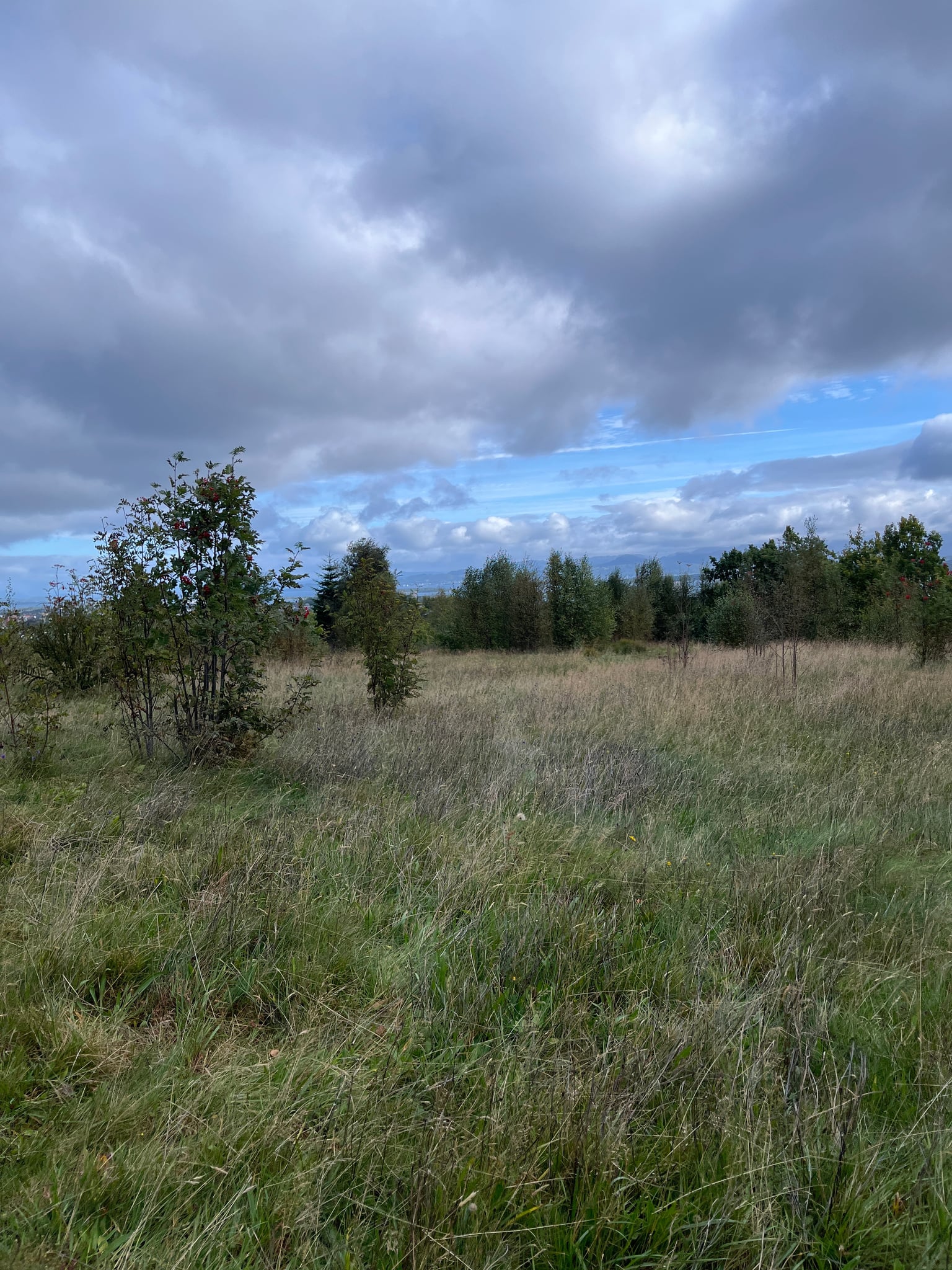 Hinnaberget — foto 2 av 2