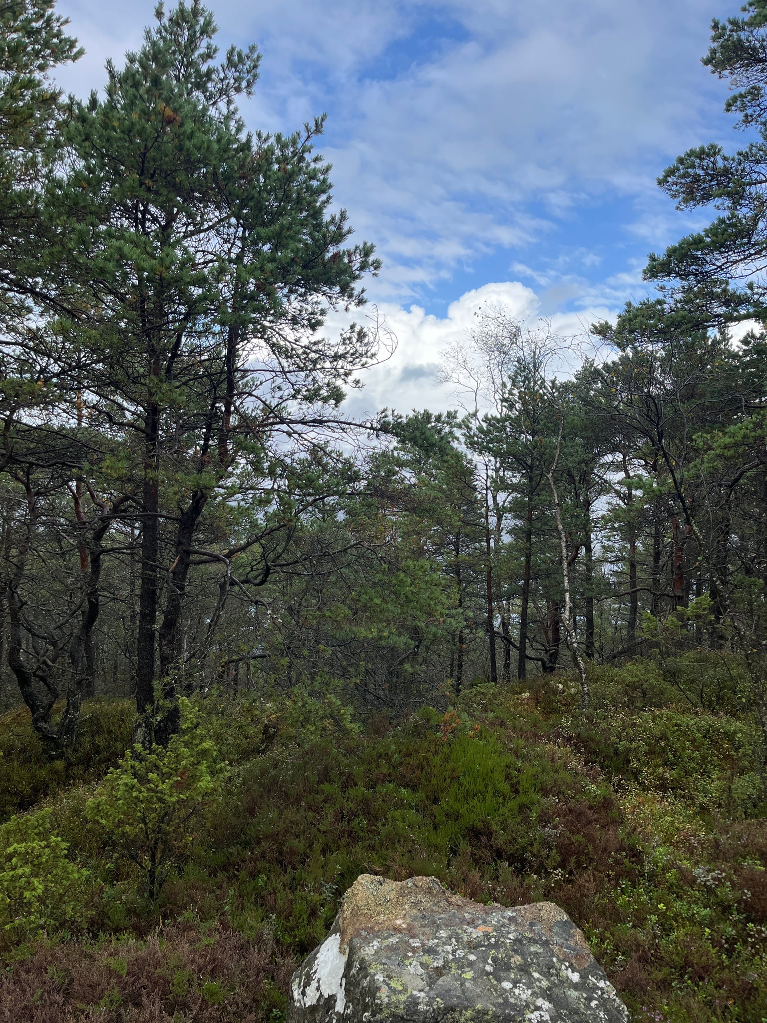 Randåsen — foto 1 av 4