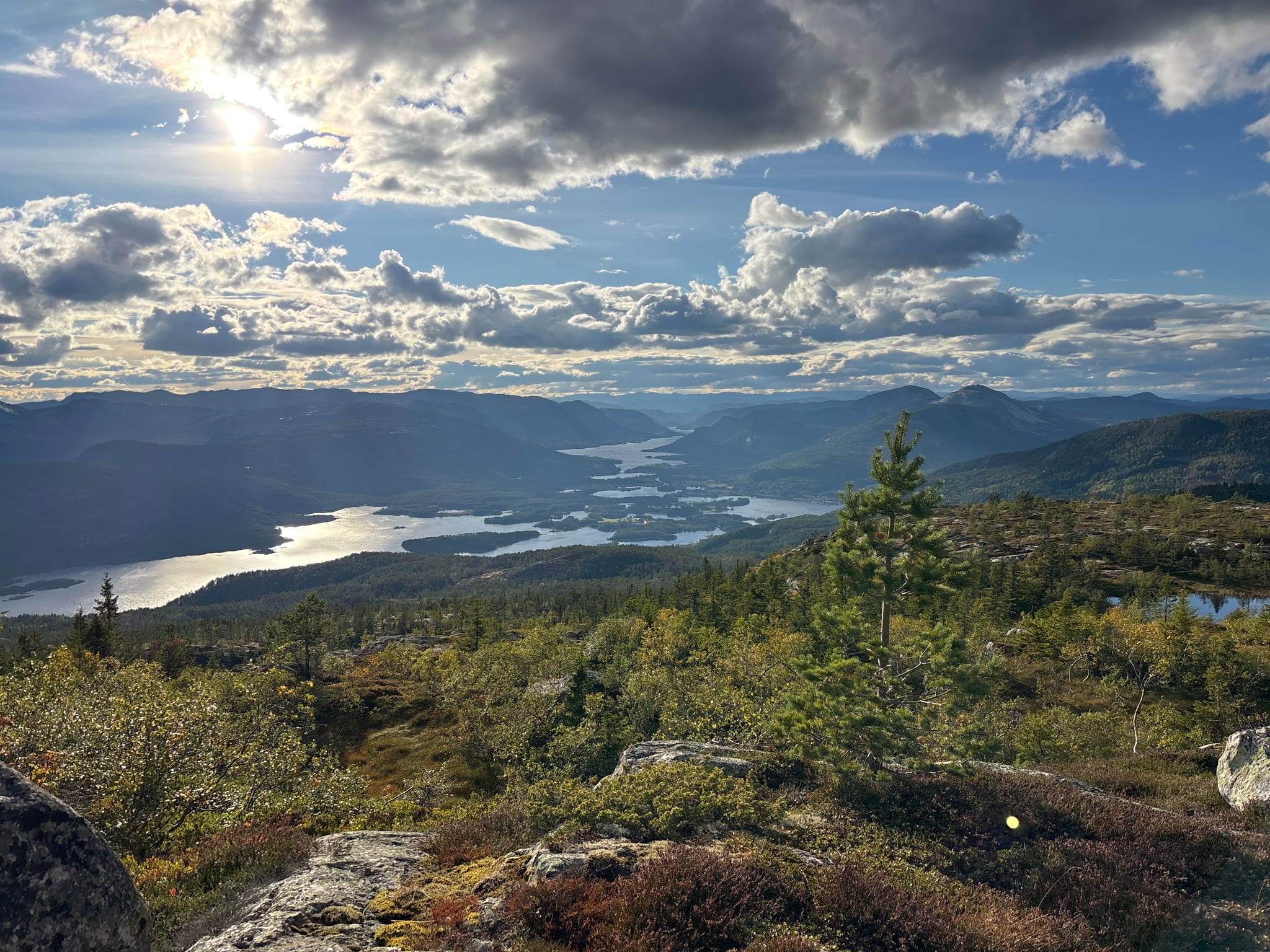 Venelifjellet — foto 1 av 1