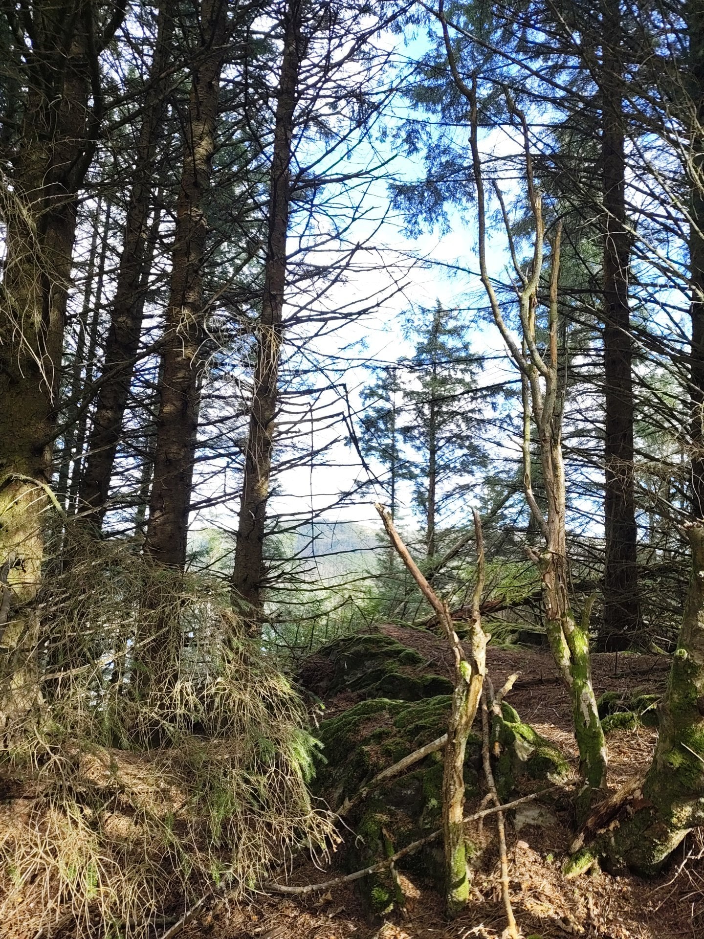 Mosskardsfjellet — foto 1 av 1