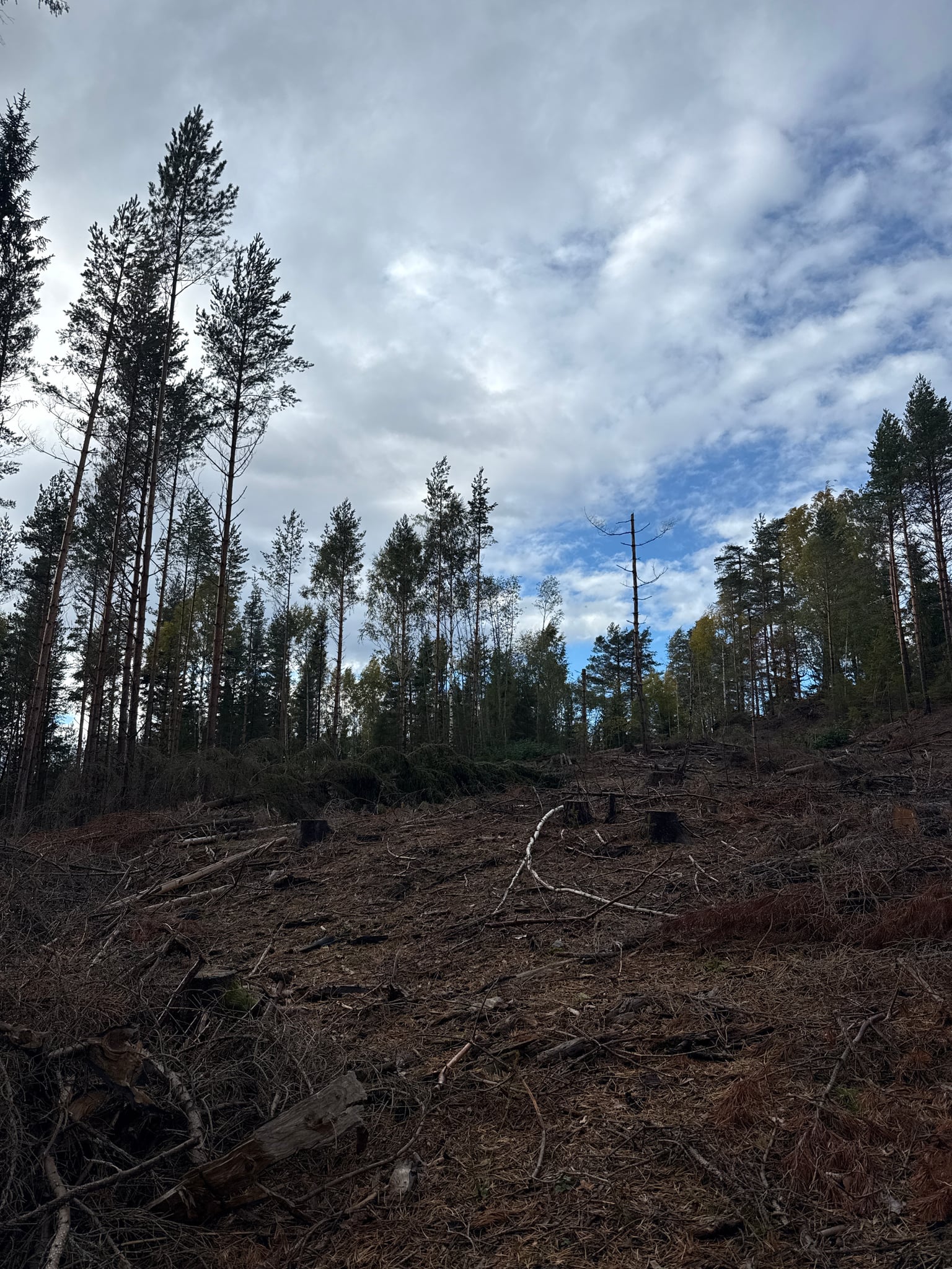 Kulerudåsen — foto 1 av 3