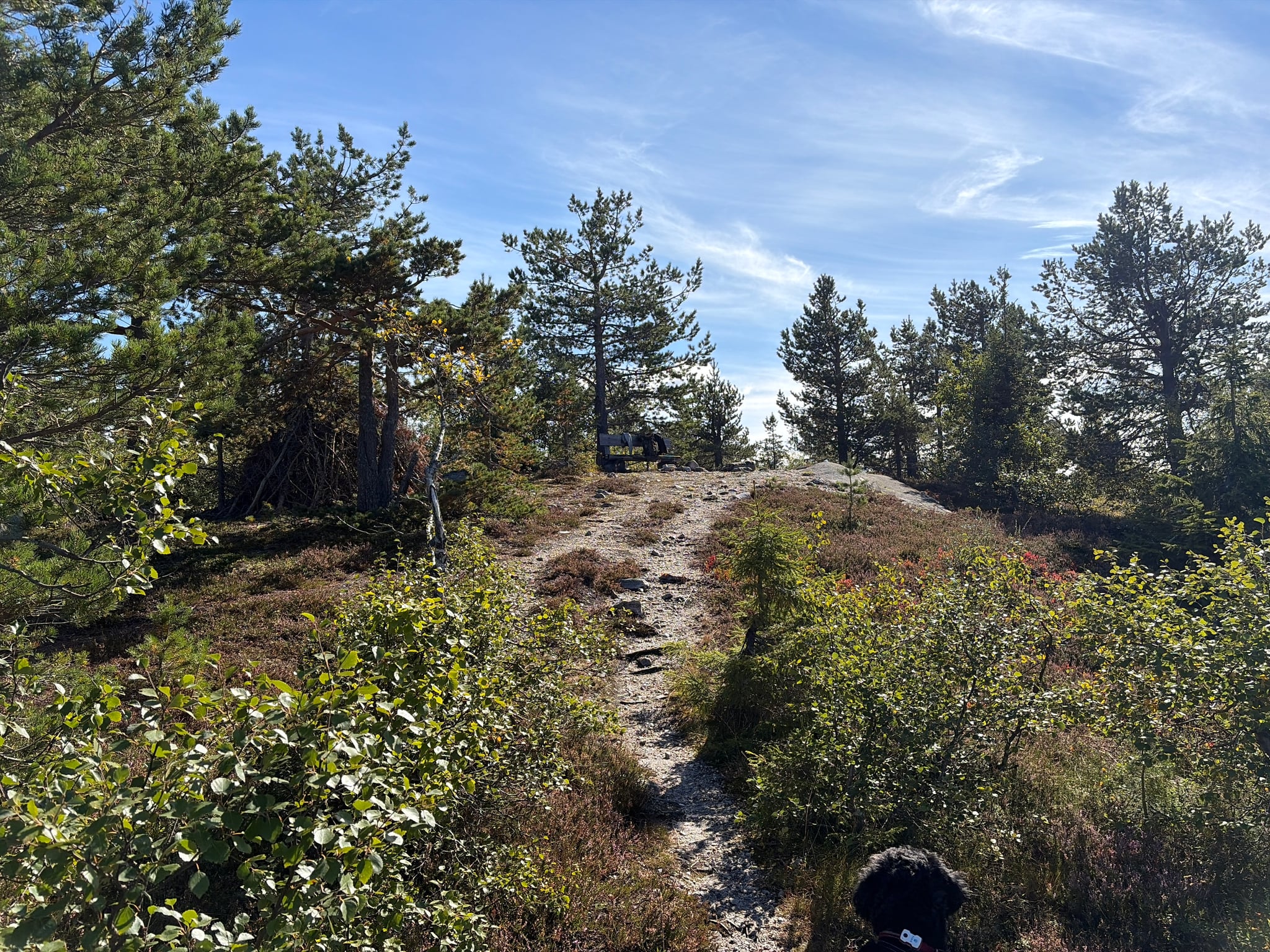 Rendlenatten — foto 3 av 3