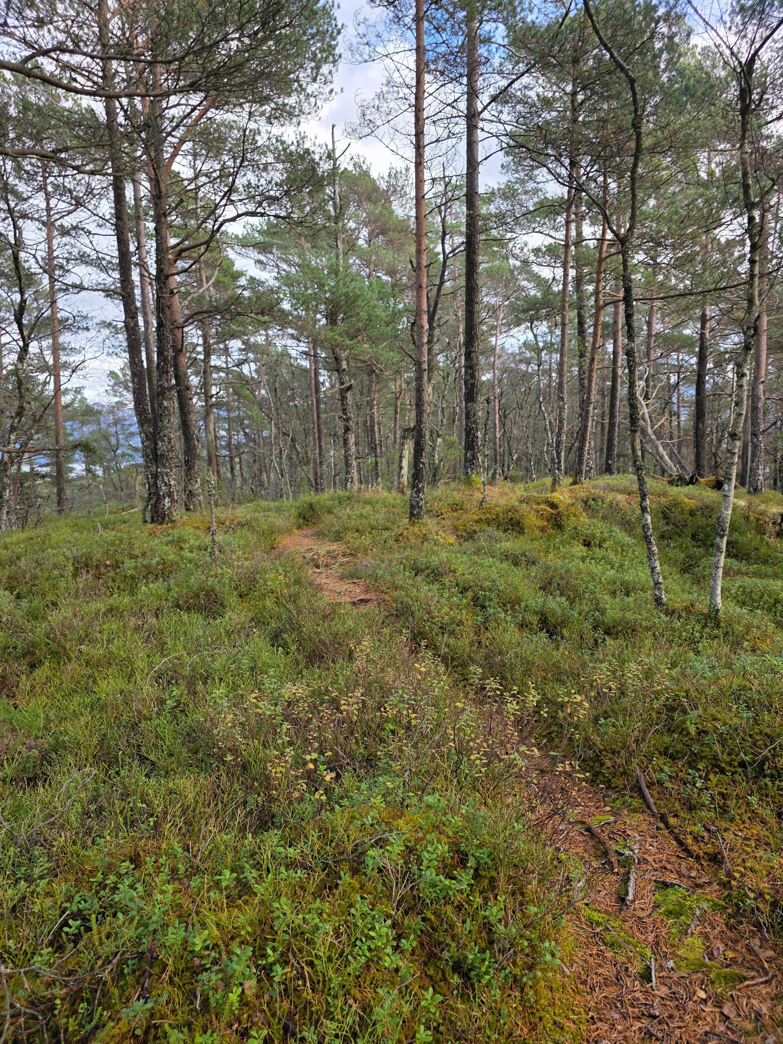 Ravnakulten — foto 1 av 1