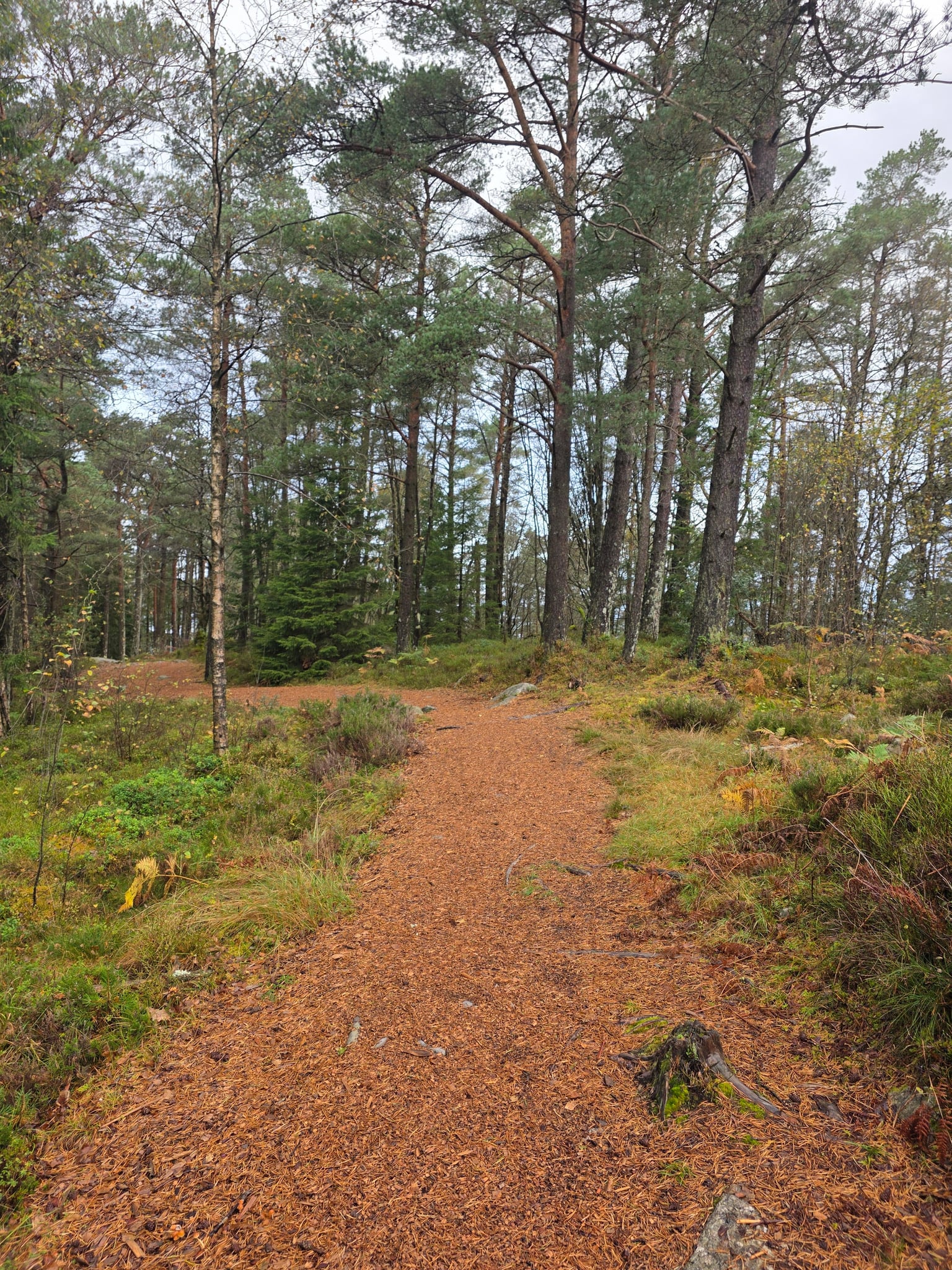 Toftåsen — foto 1 av 1