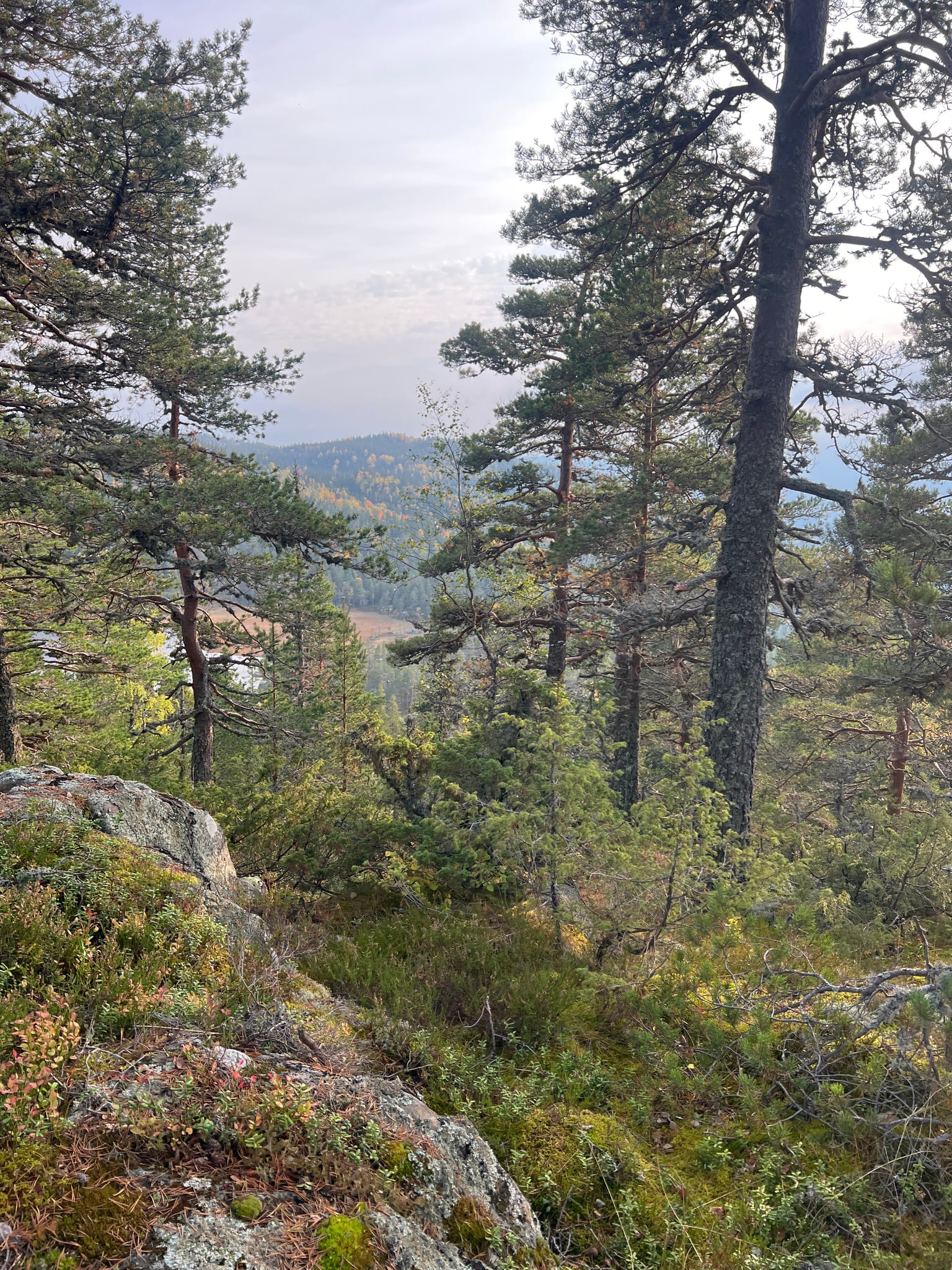 Hvalsknatten — foto 2 av 4