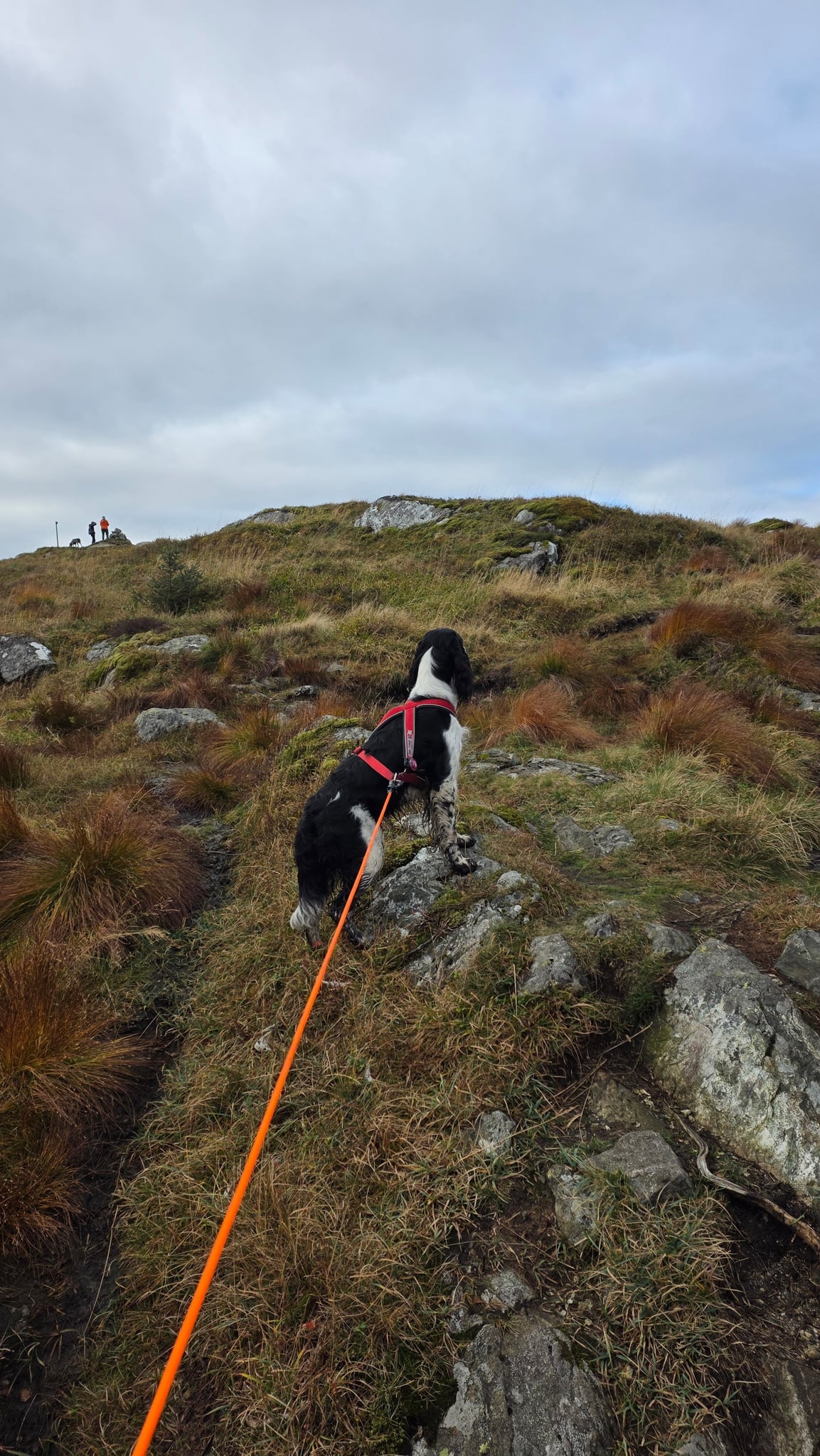 Totlandsfjellet — foto 2 av 3