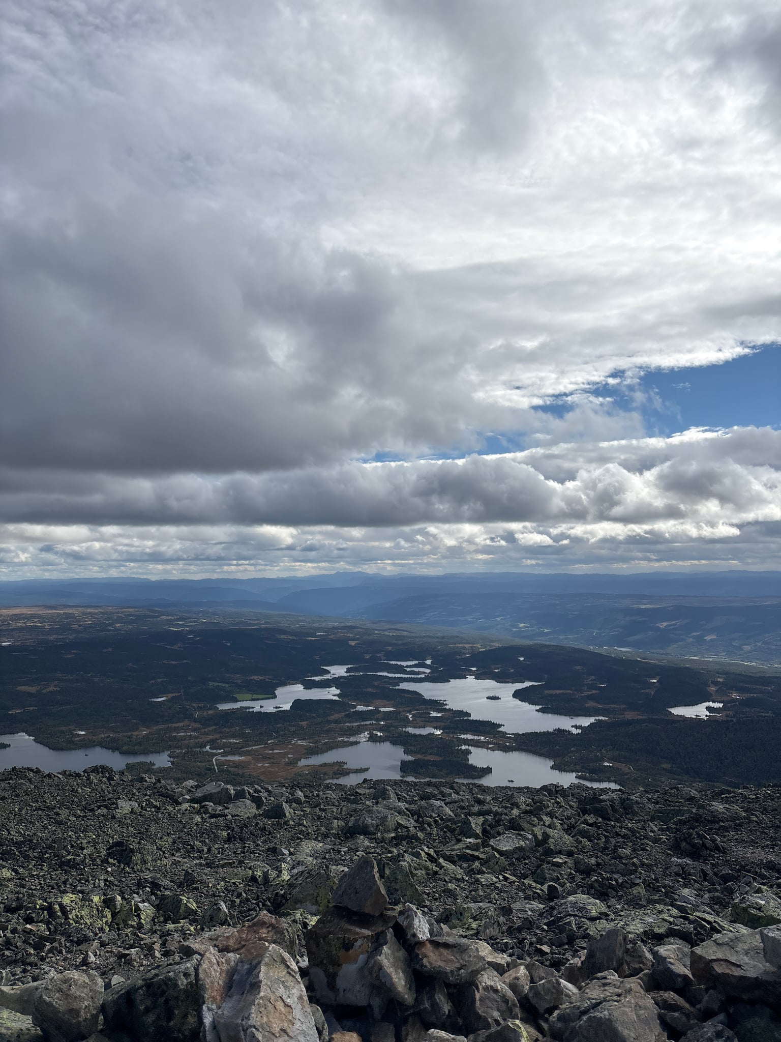 Skogshorn — foto 1 av 4