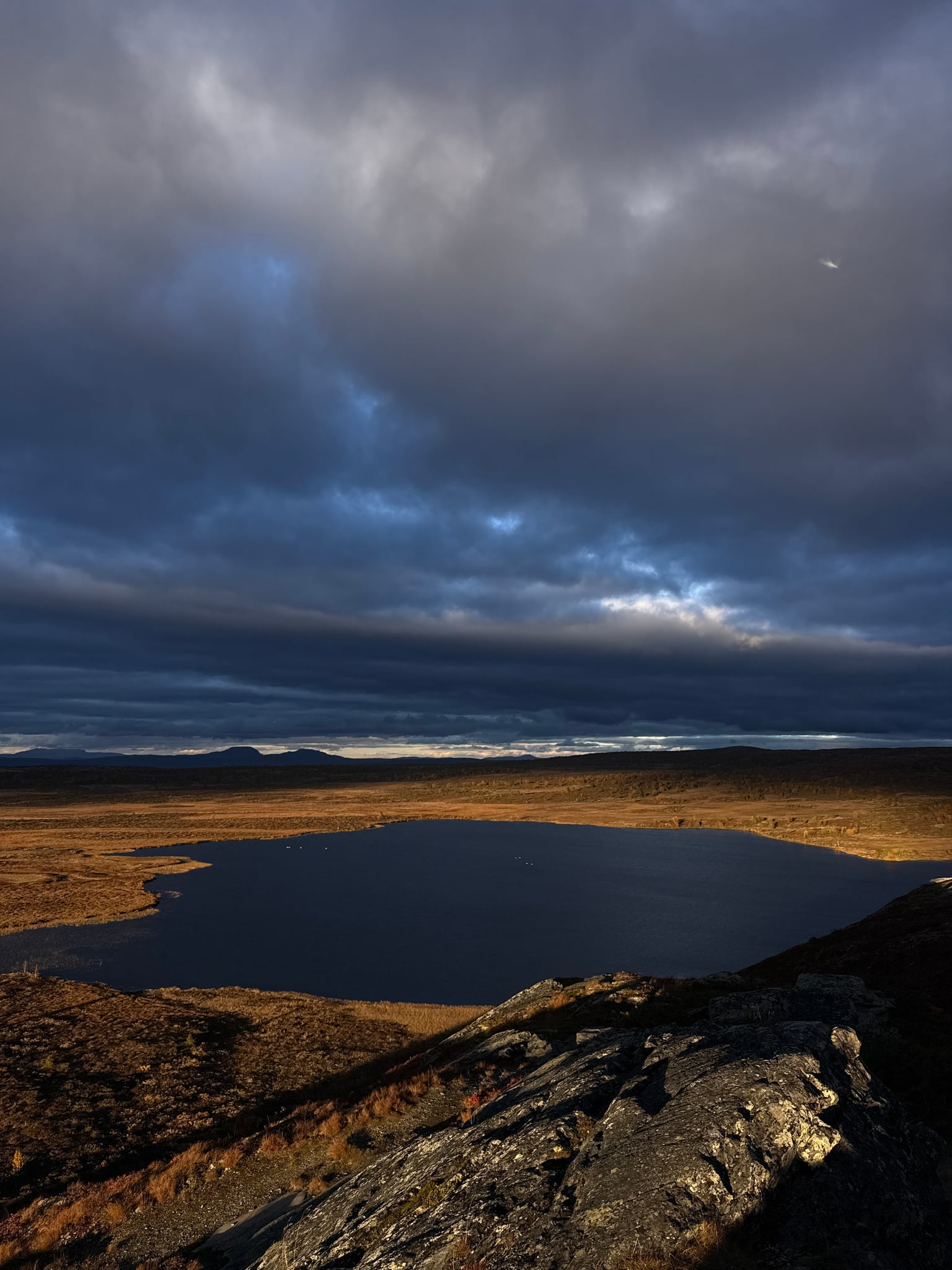 Valtjernknatten — foto 1 av 2