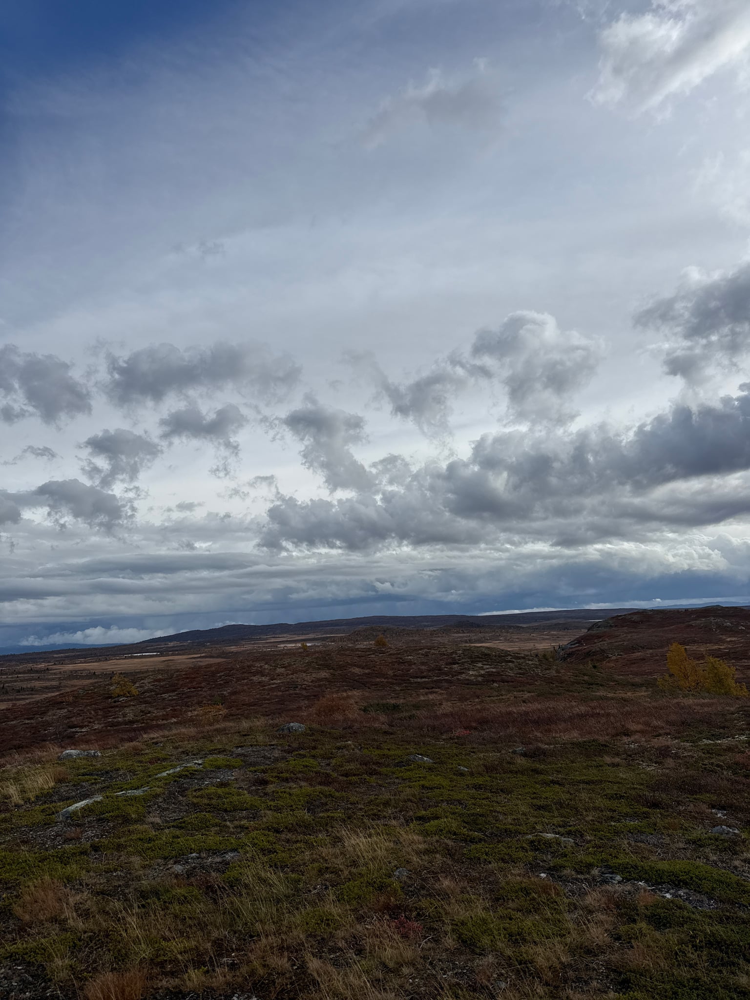 Skurvehovda — foto 1 av 2