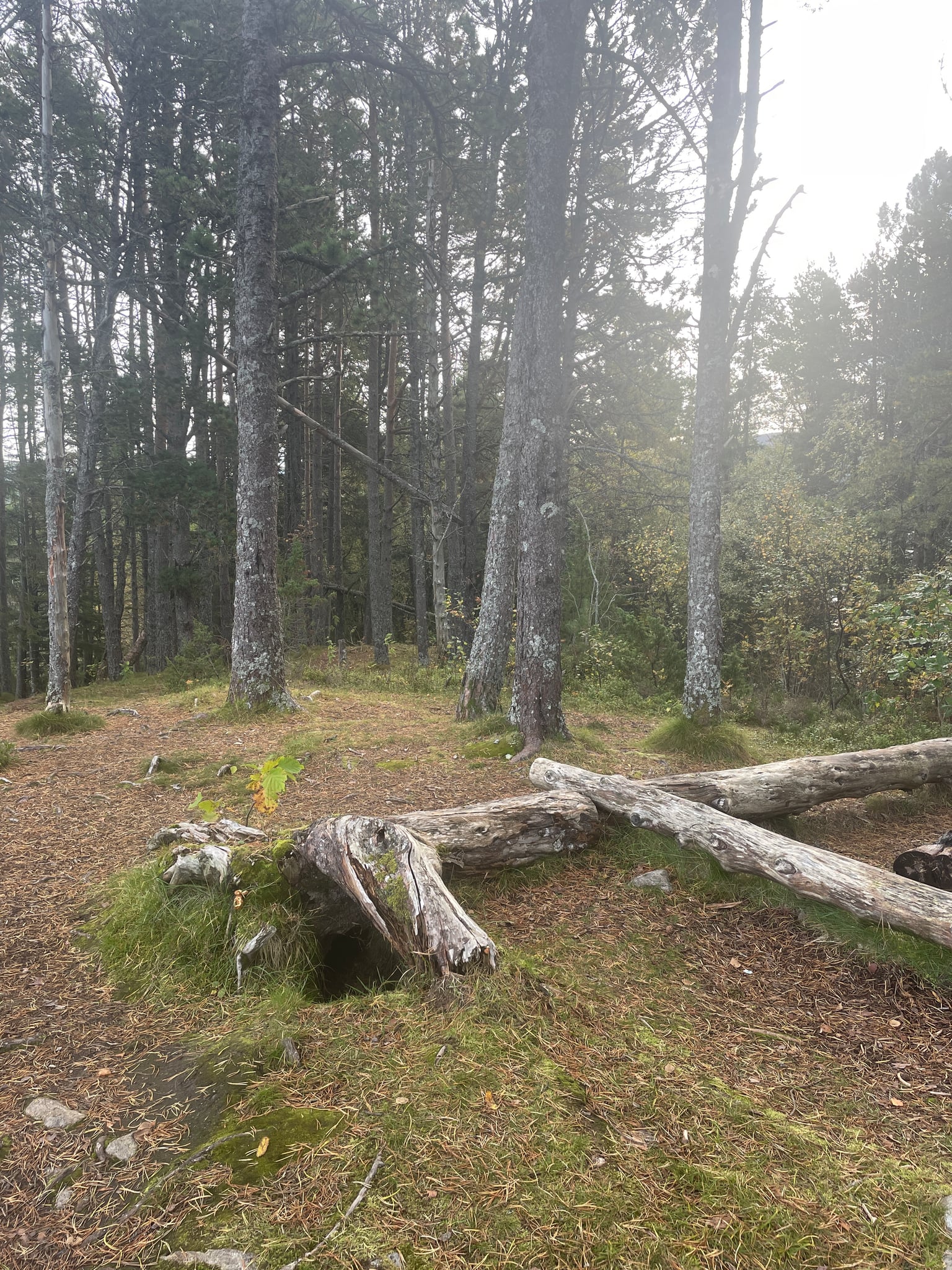 Kyrkjehaugen — foto 1 av 1