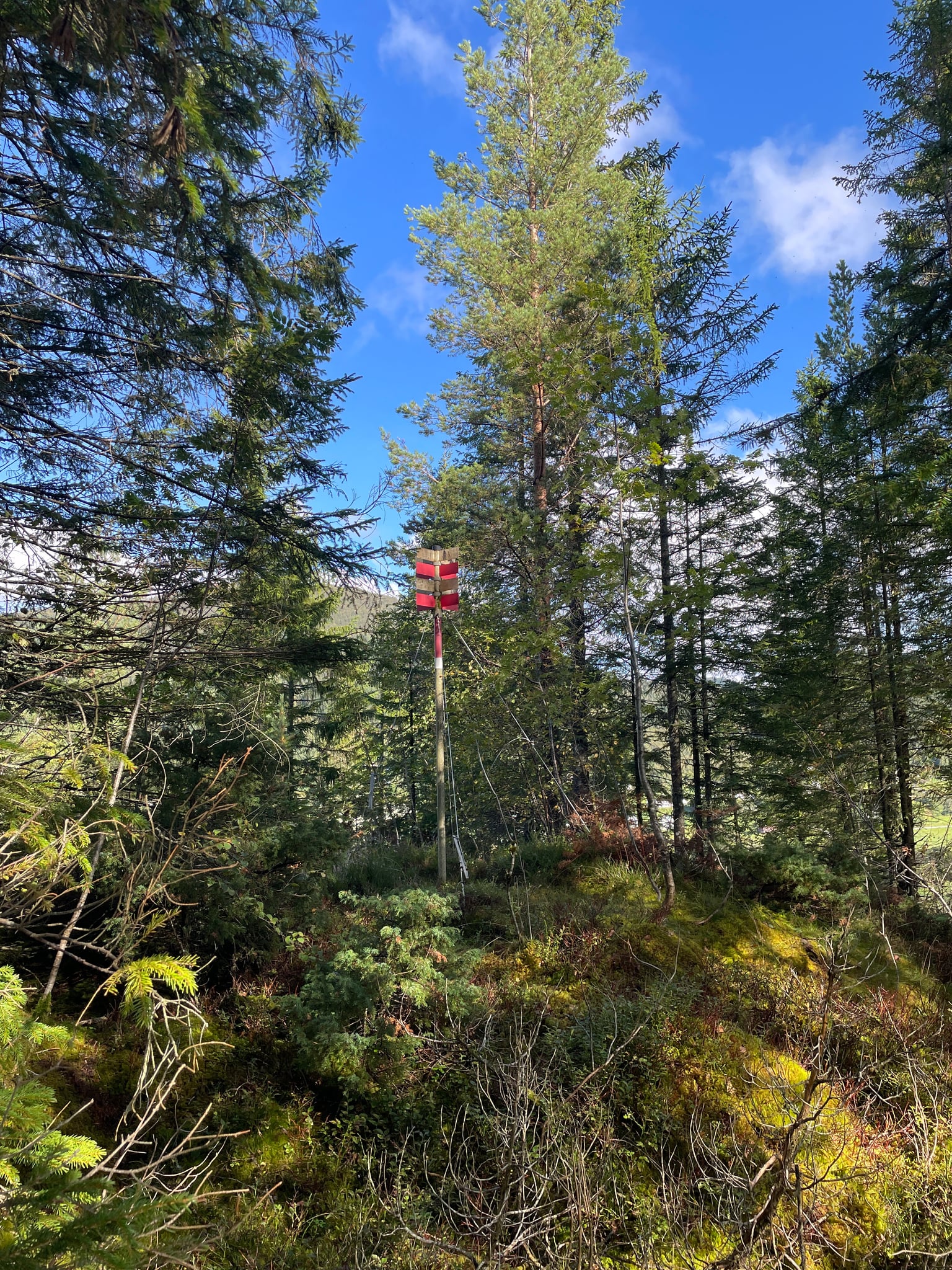 Haukåshaugen — foto 1 av 1