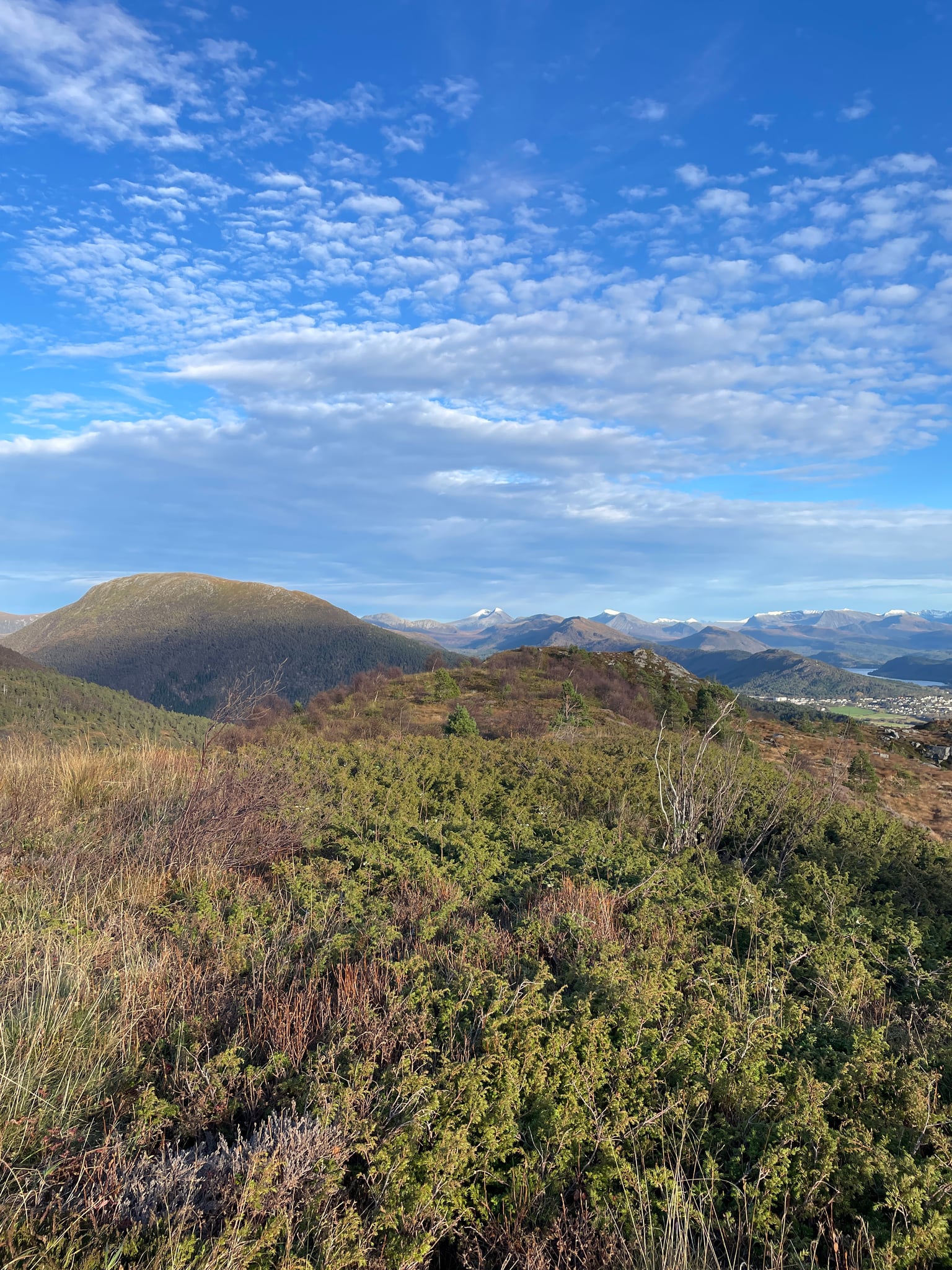 Høgevasshaugane — foto 1 av 1