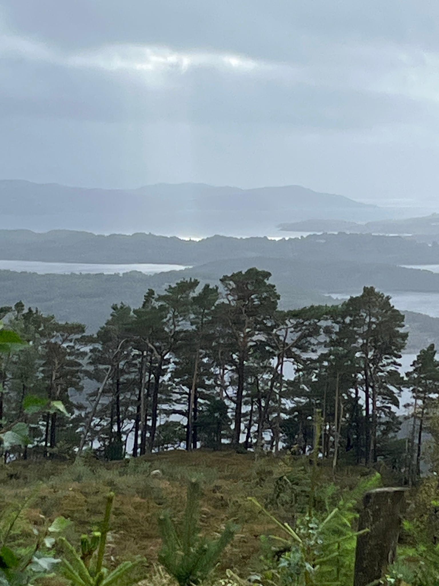 Randåsen — foto 4 av 4