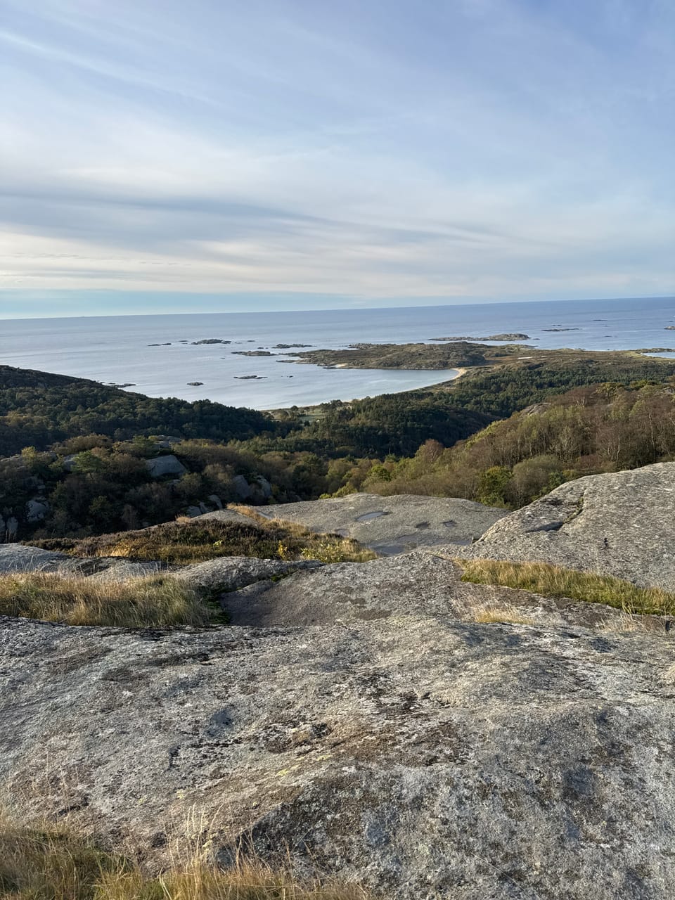 Skjolnesveten — foto