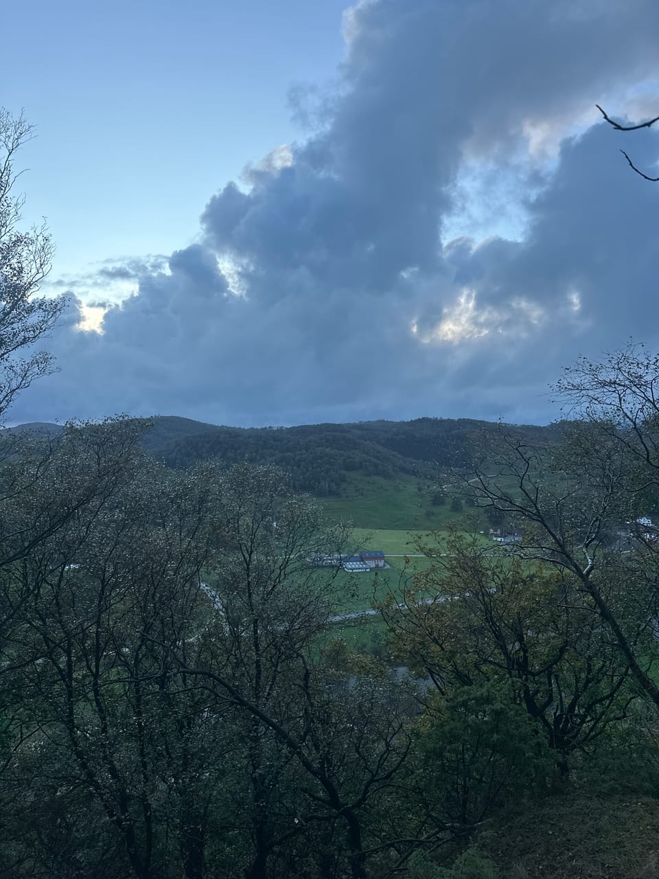 Skrukkelia — foto