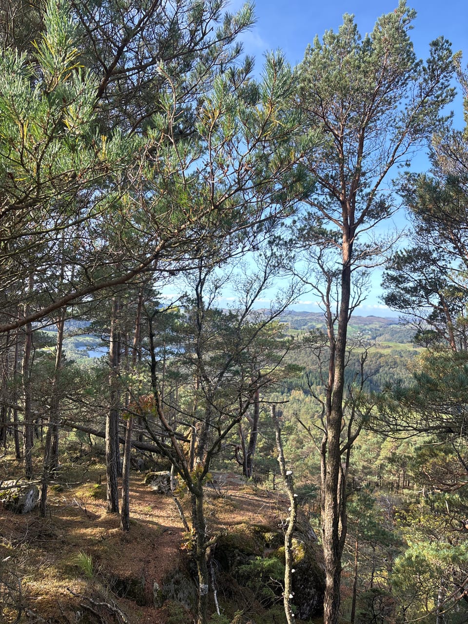 Åråsen — foto