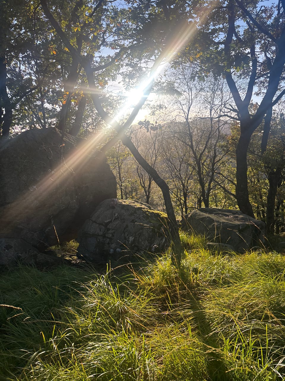 Tjødnaråsen — foto