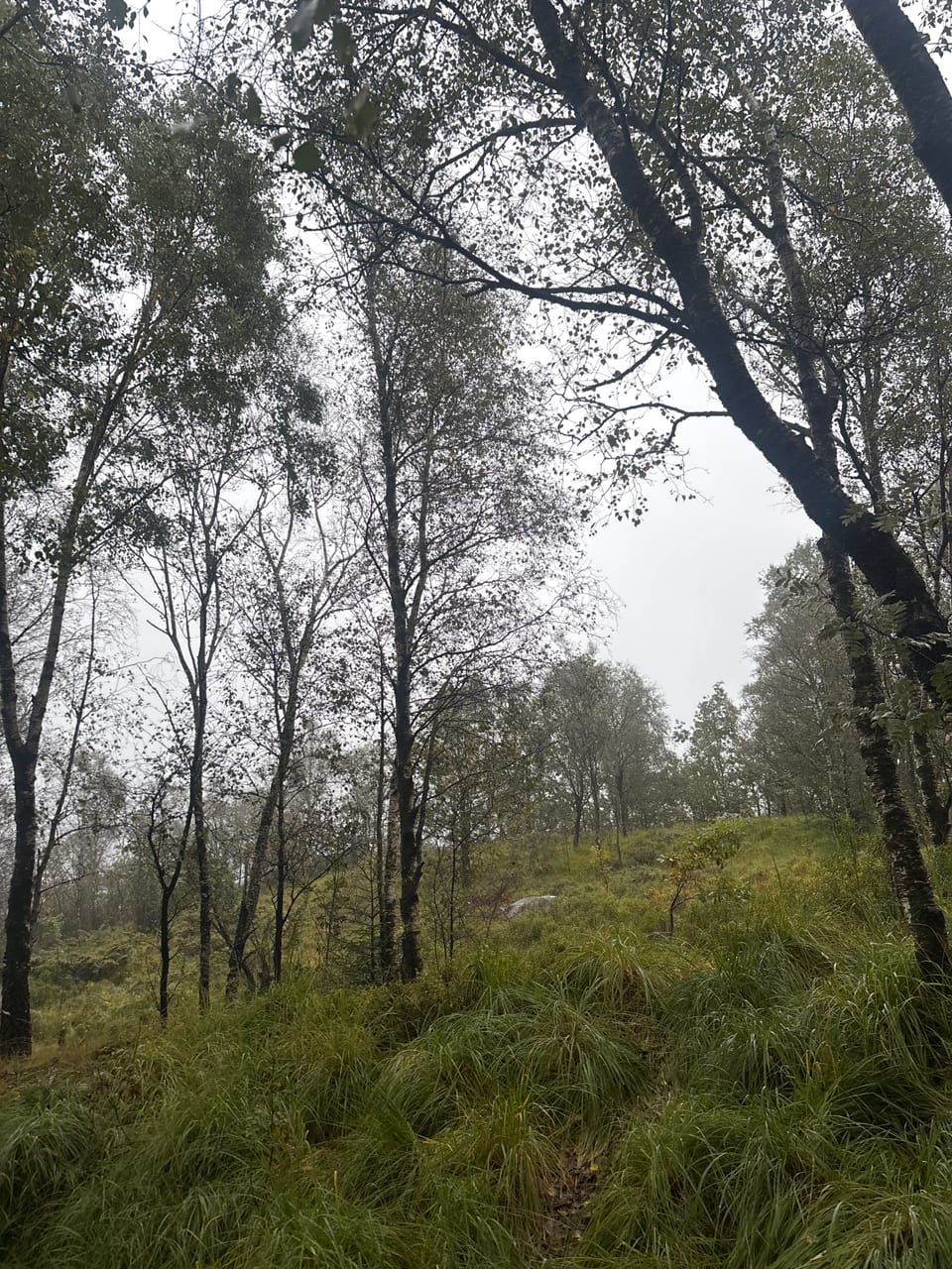 Tjødnaråsen — foto
