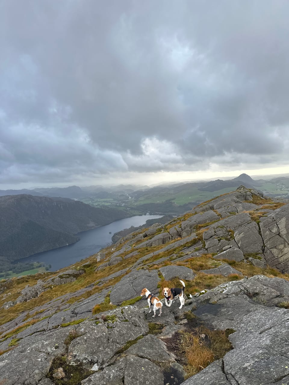 Storafjellet — foto