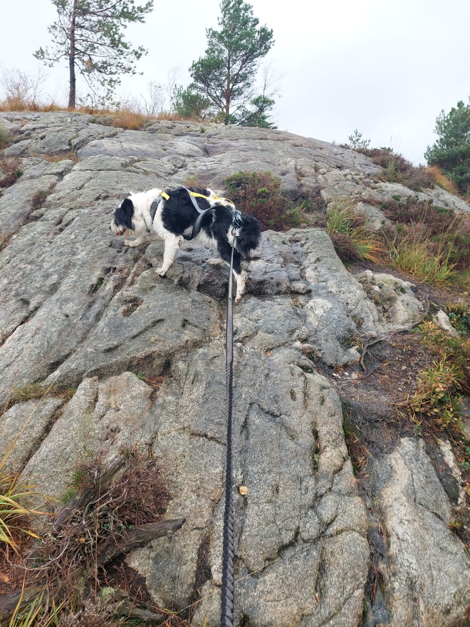 Steinfjellet — foto