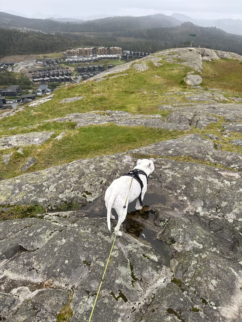Ragnhildnuten — foto