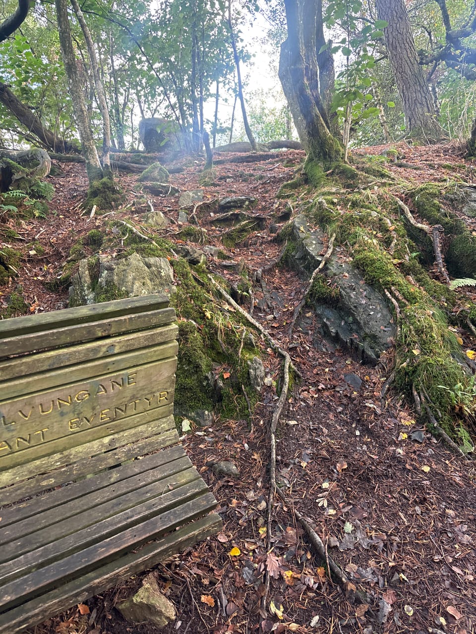 Skjeraberget — foto