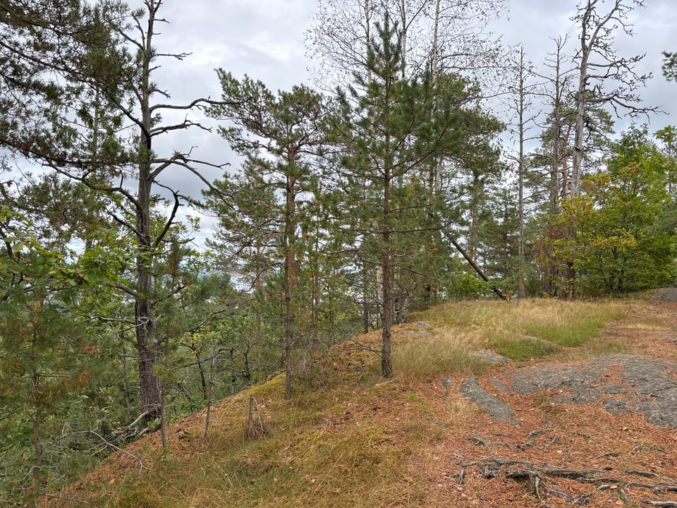 Storkollen — foto