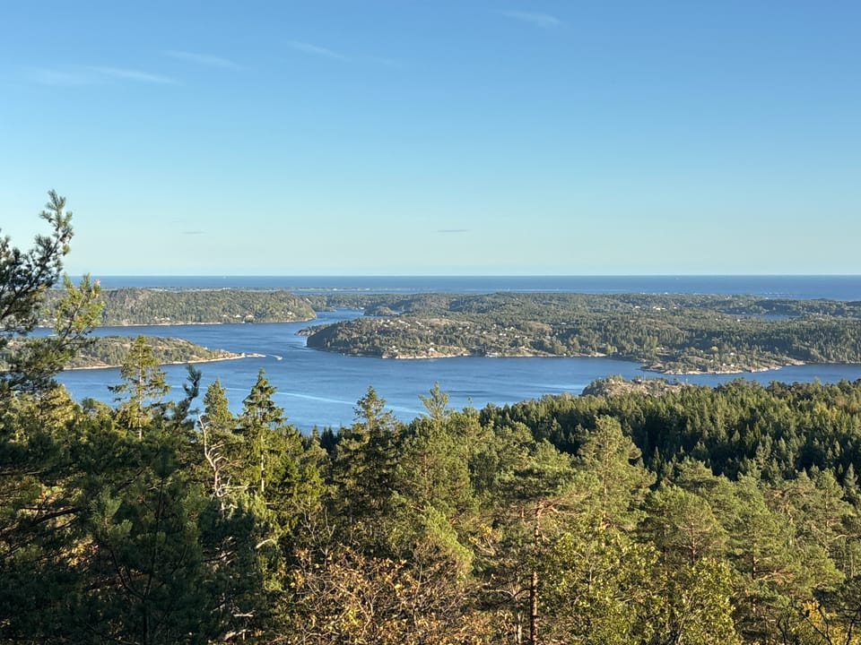 Lovisenbergkollen — foto