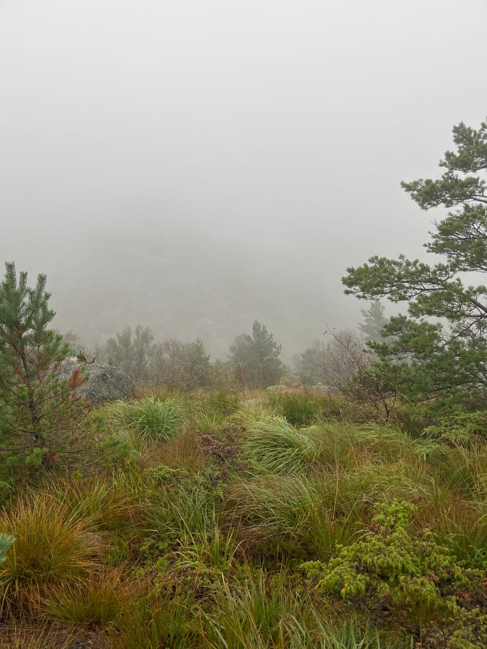Flatafjellet — foto