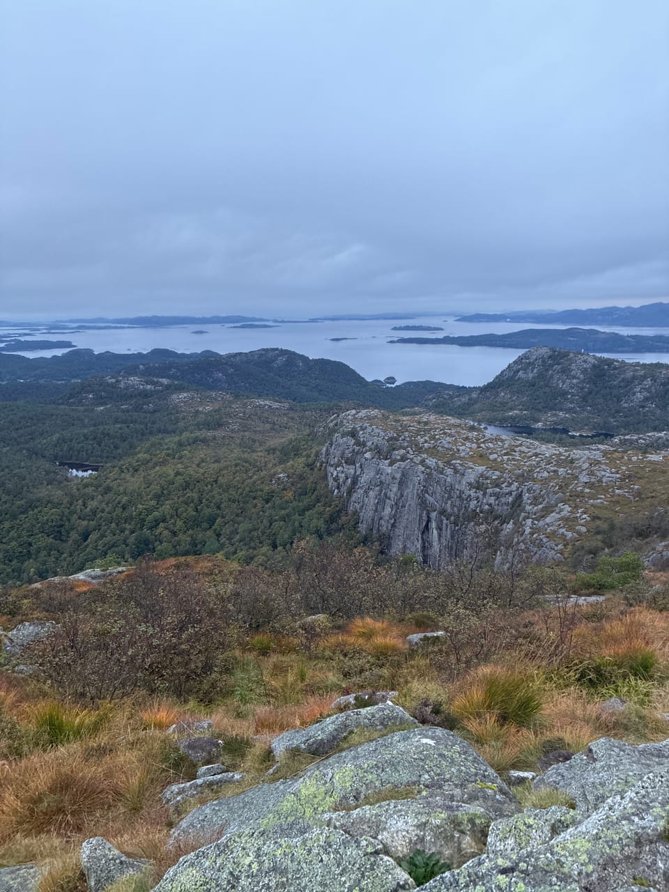 Vårlivarden — foto
