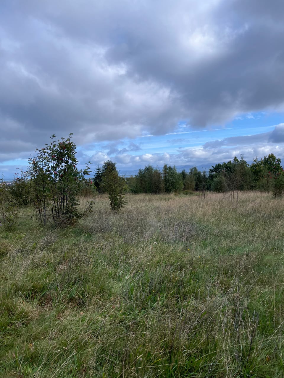 Hinnaberget — foto