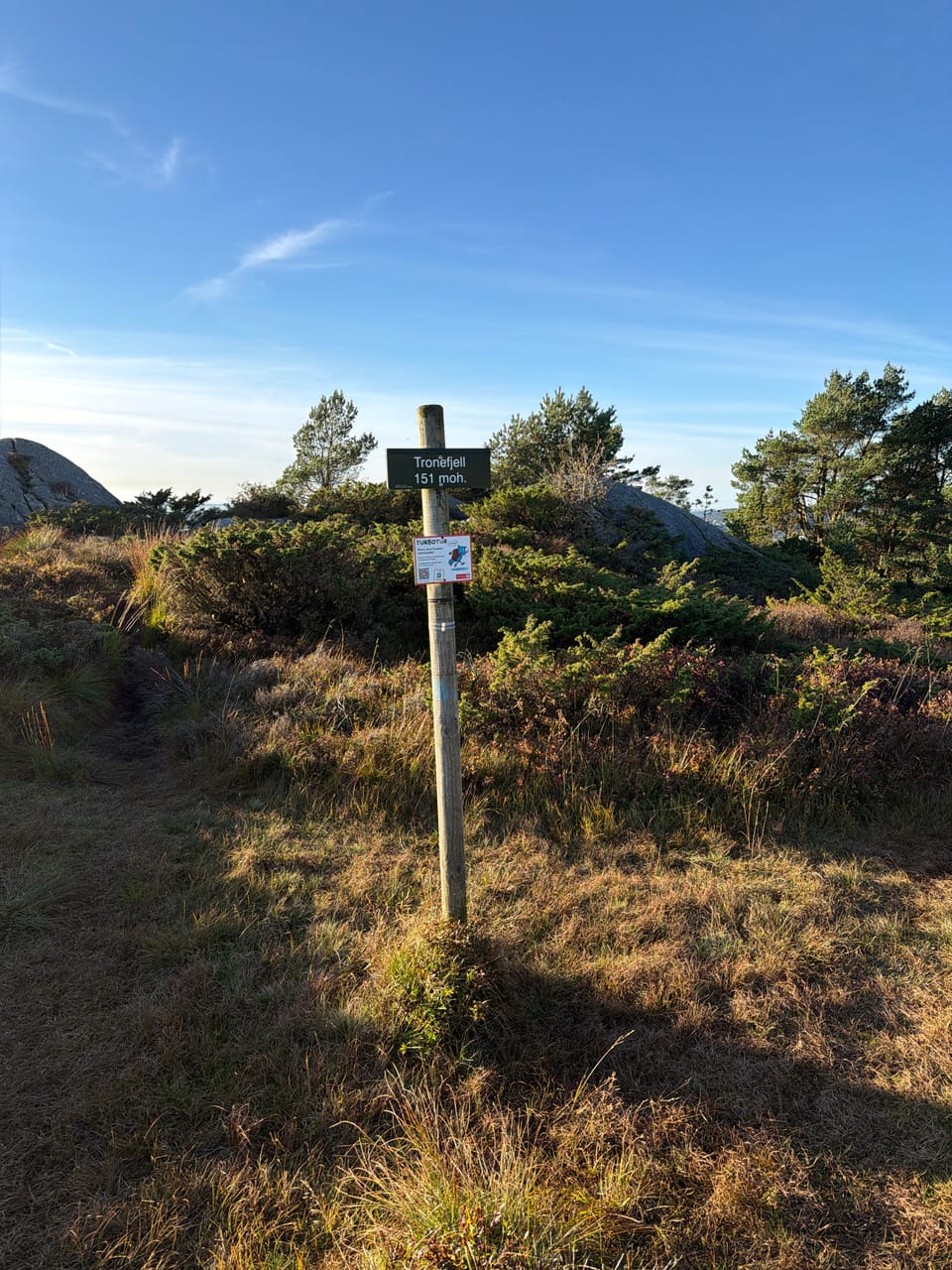 Tronefjellet — foto