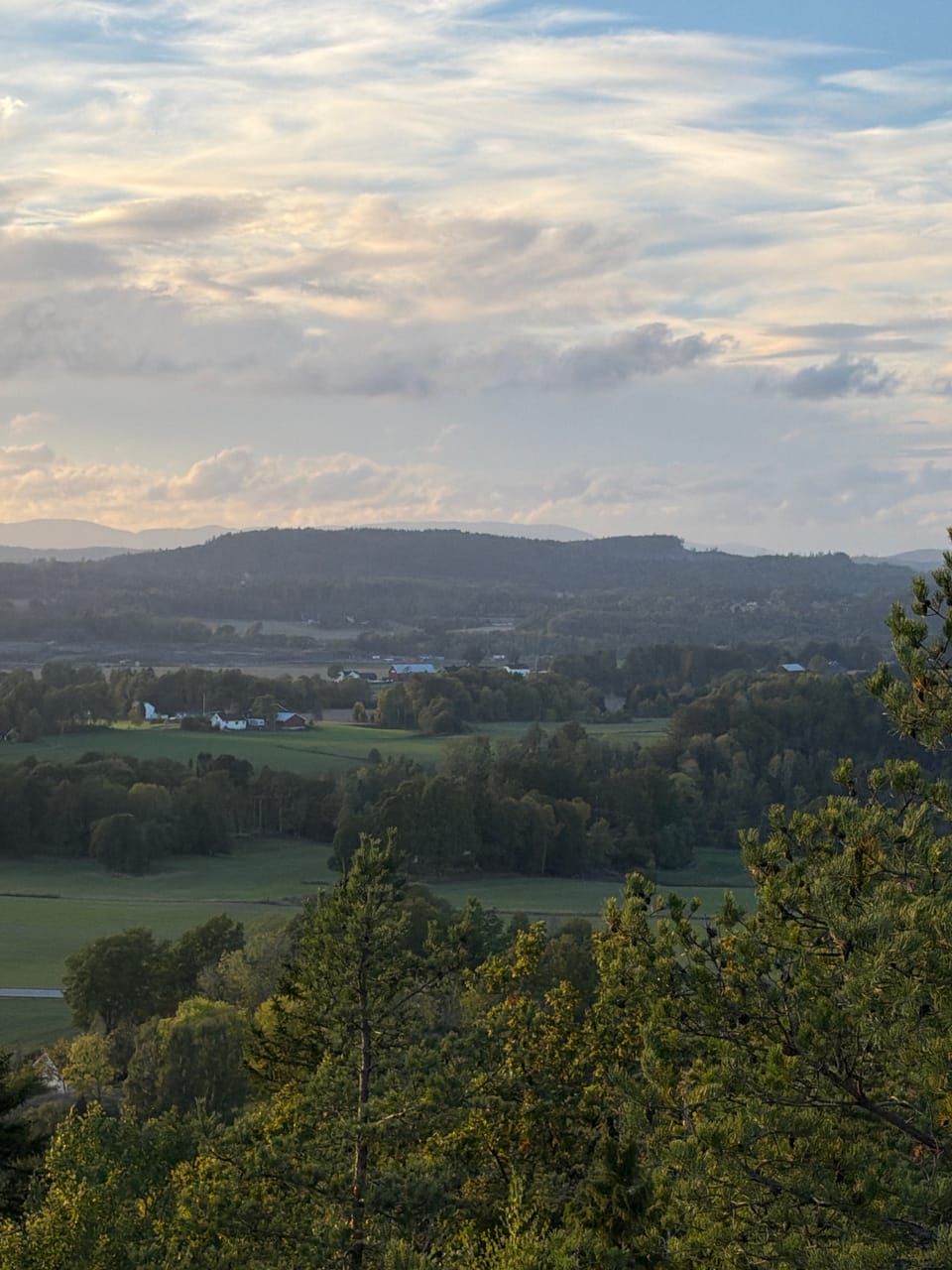 Skånevetan — foto