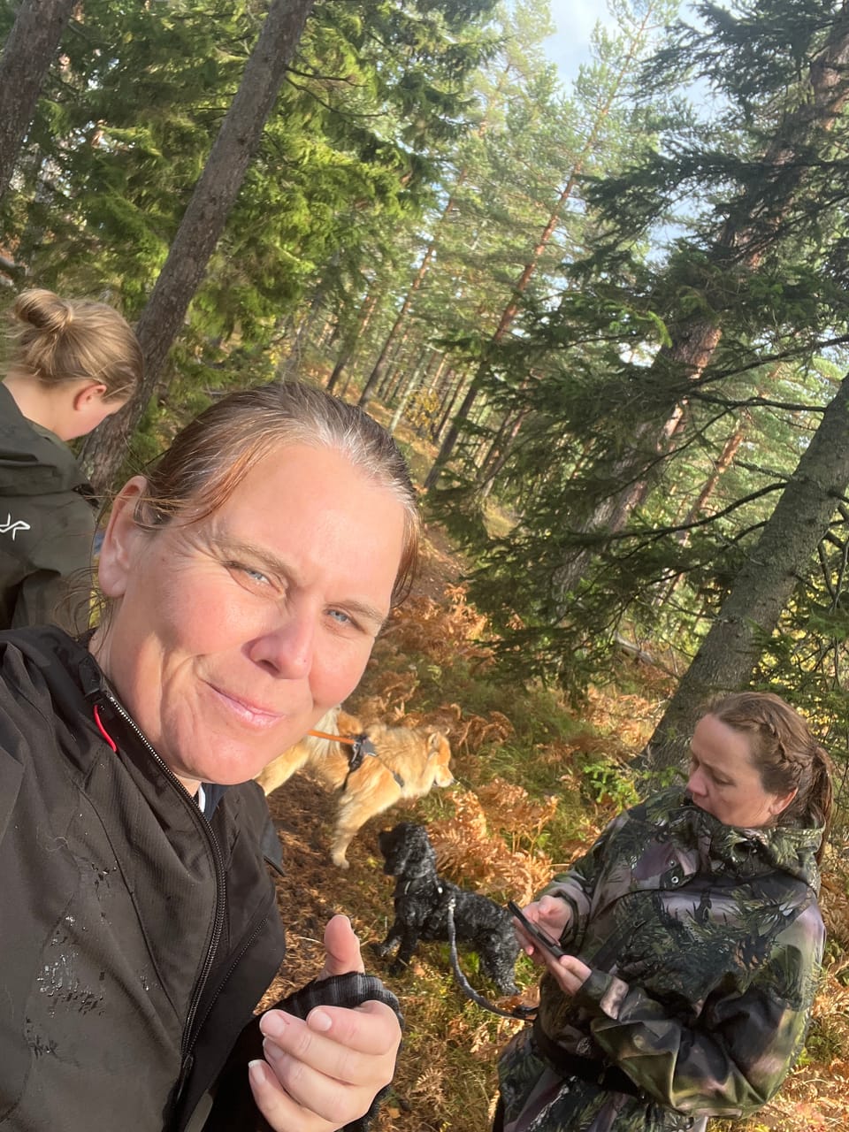 Røverberget — foto