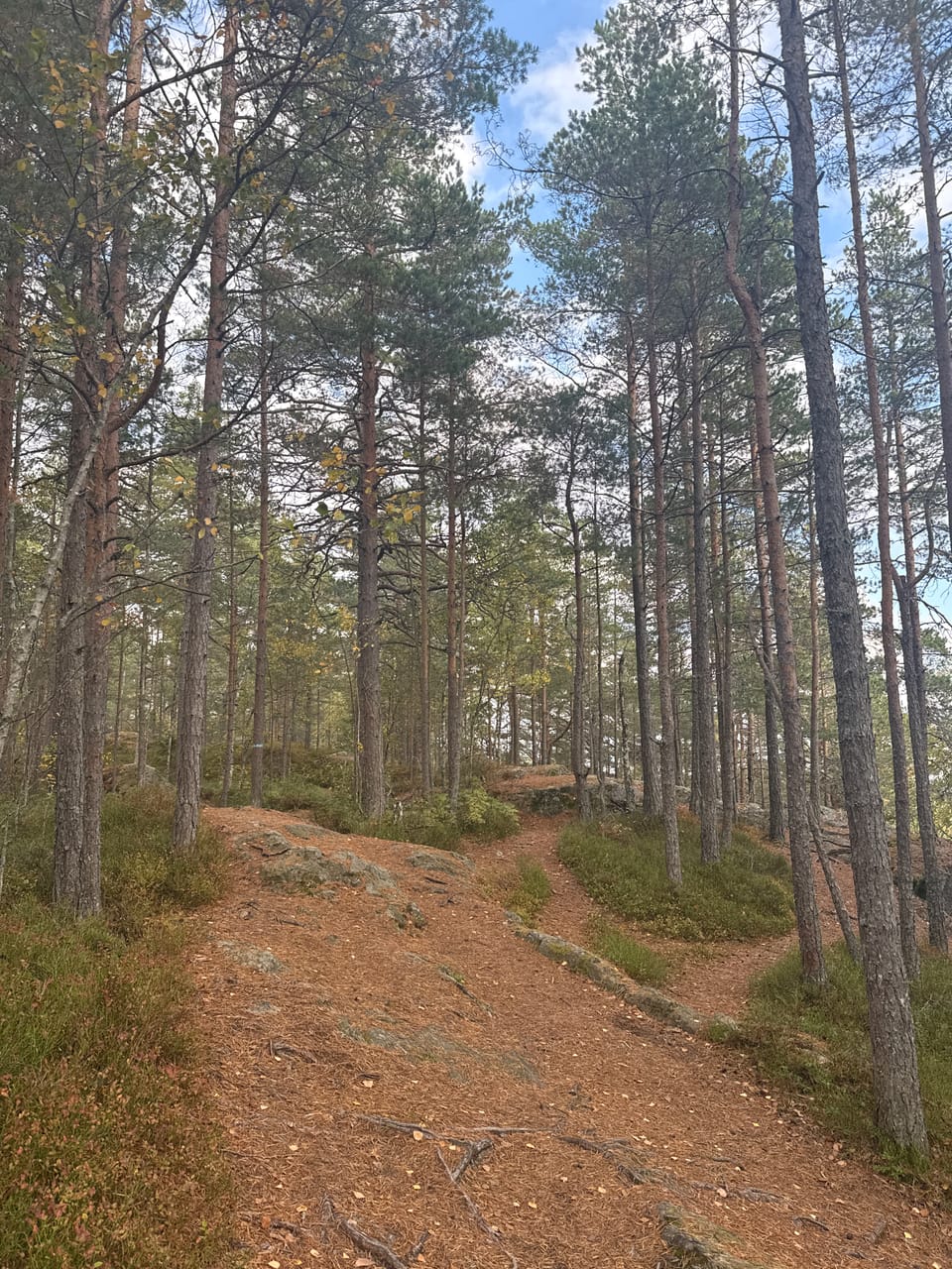 Toåsen — foto