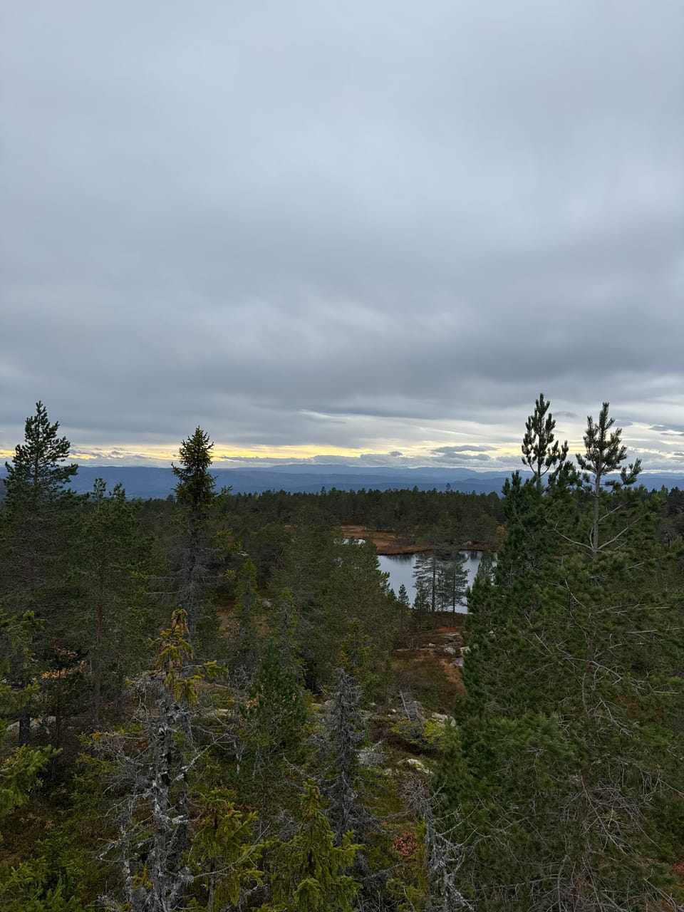 Hovlandsvarden — foto