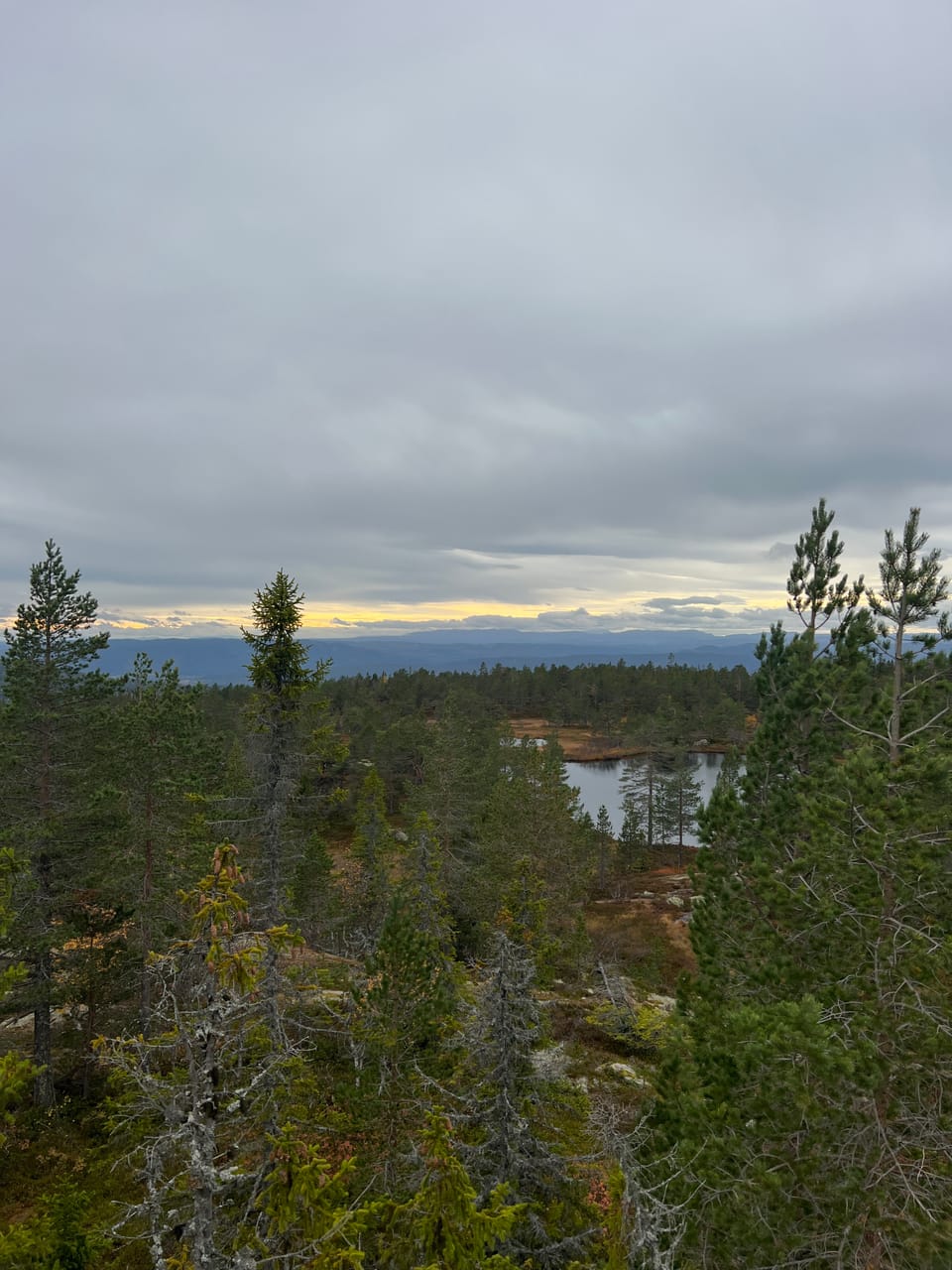 Hovlandsvarden — foto