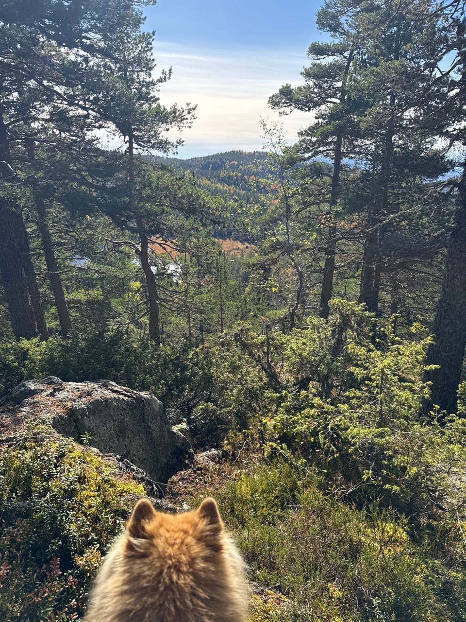 Hvalsknatten — foto