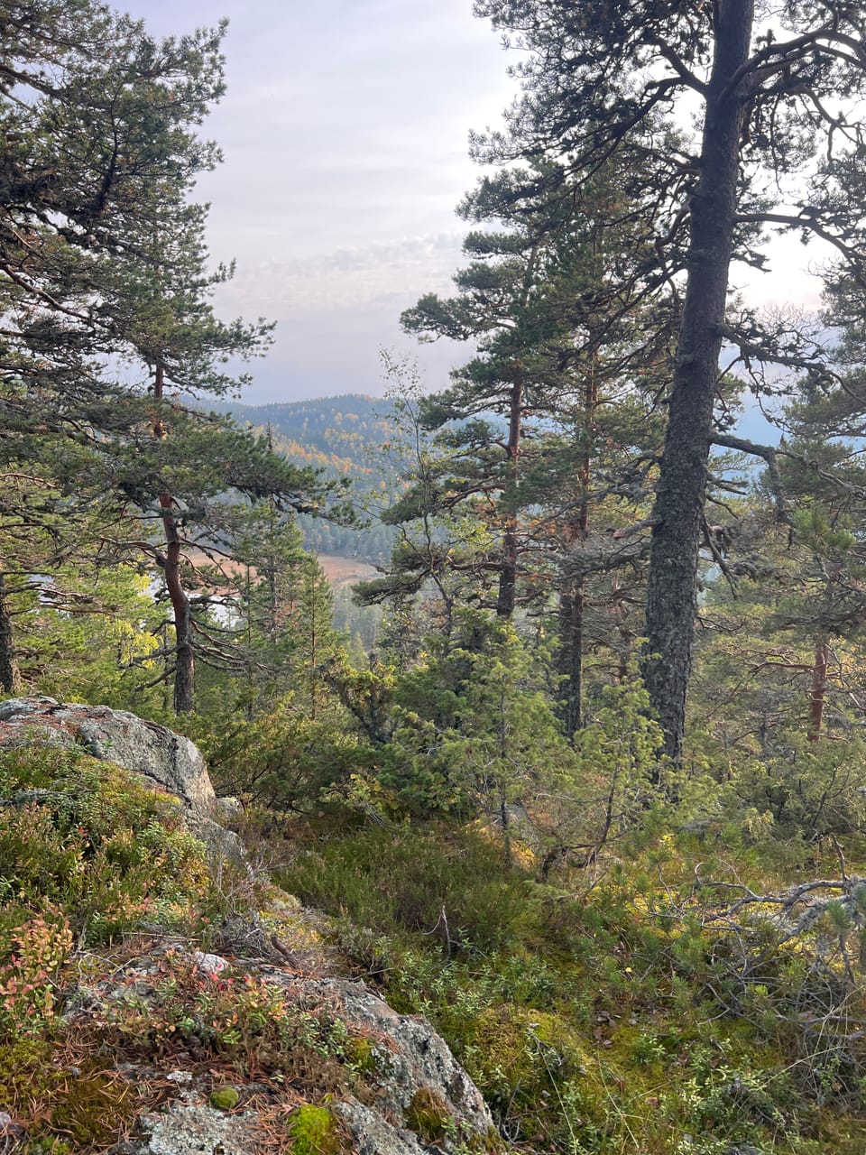 Hvalsknatten — foto